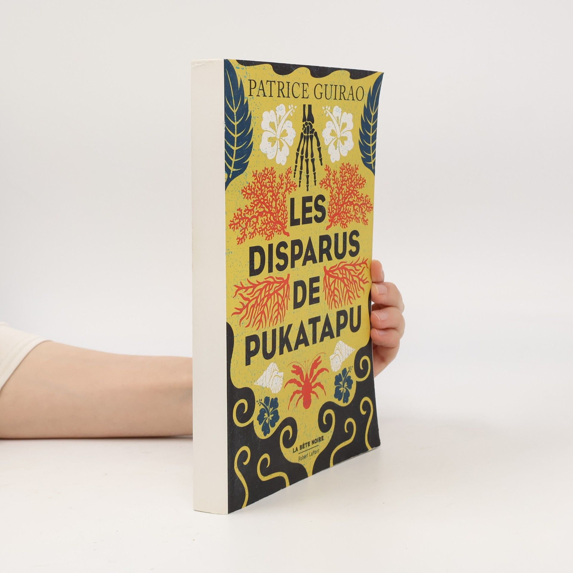 Patrice Guirao Les Disparus de Pukatapu