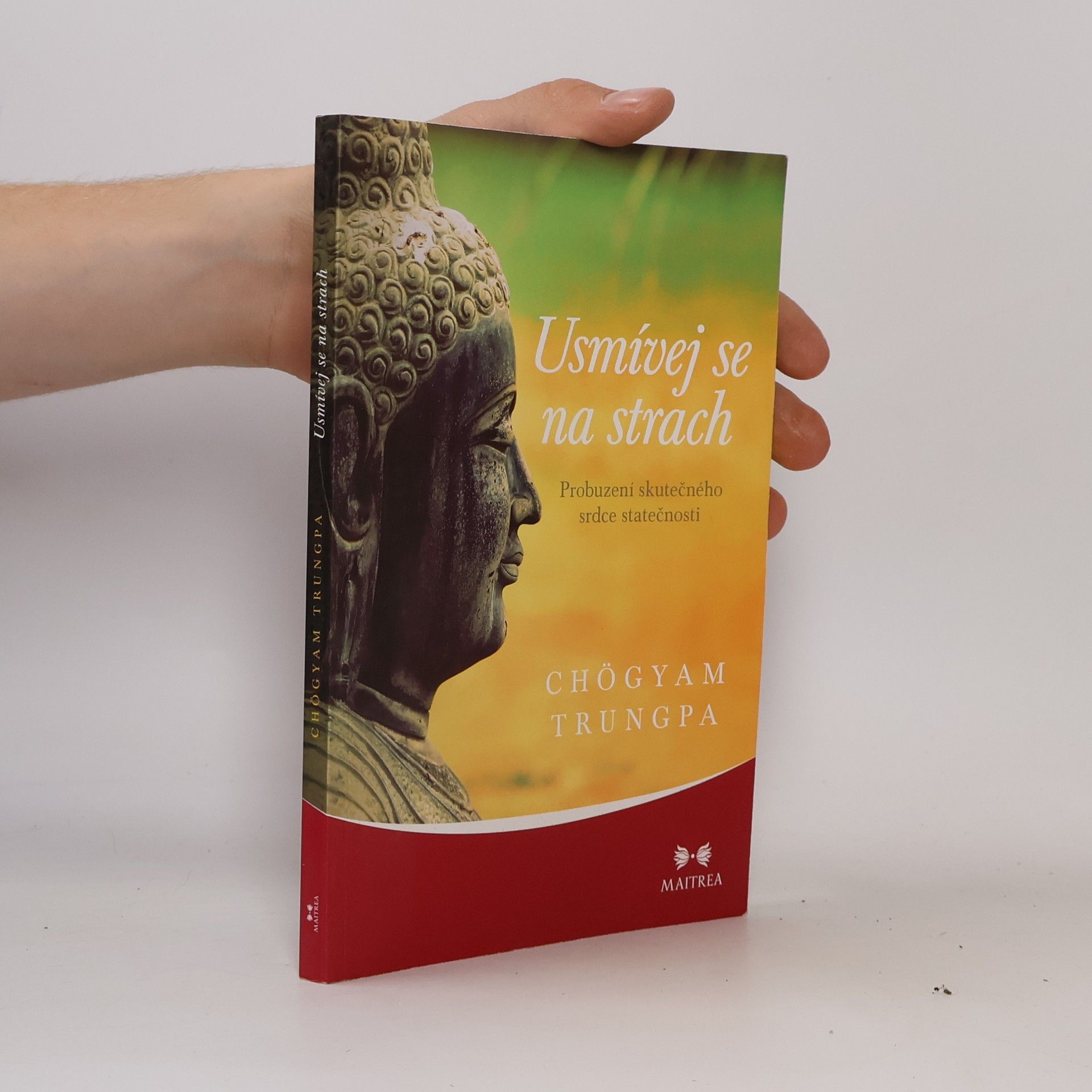 Chögyam Trungpa Usmívej se na strach. Probuzení skutečného srdce statečnosti