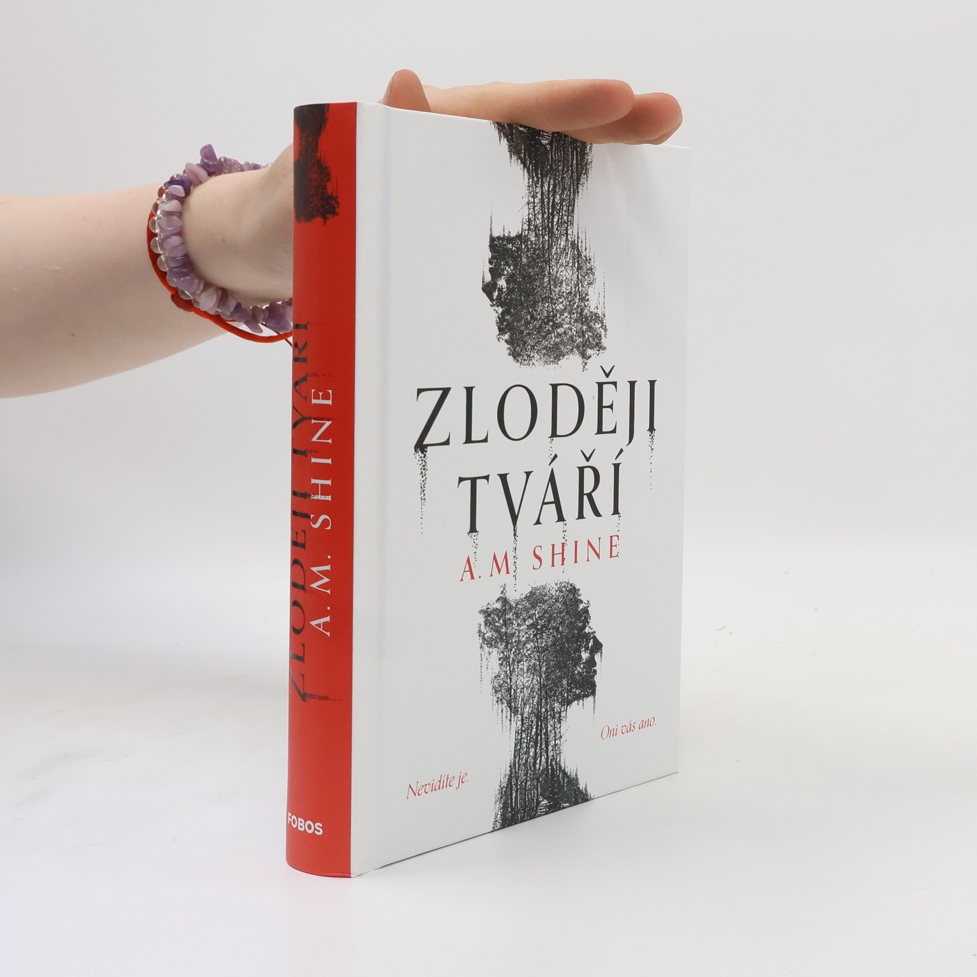 Betty Shine Zloději tváří