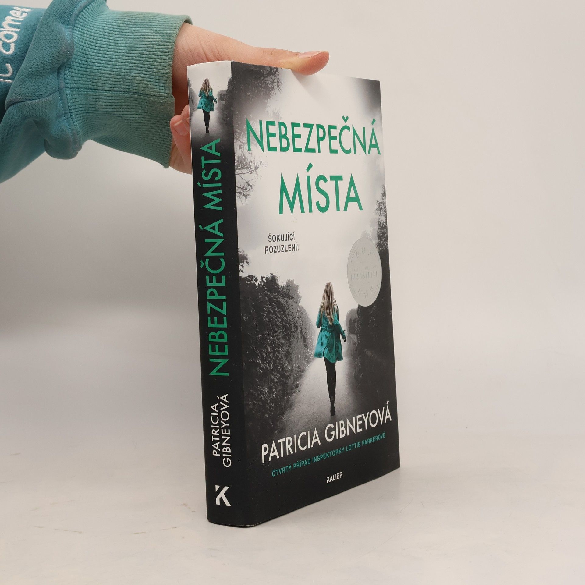 Patricia Gibney Nebezpečná místa