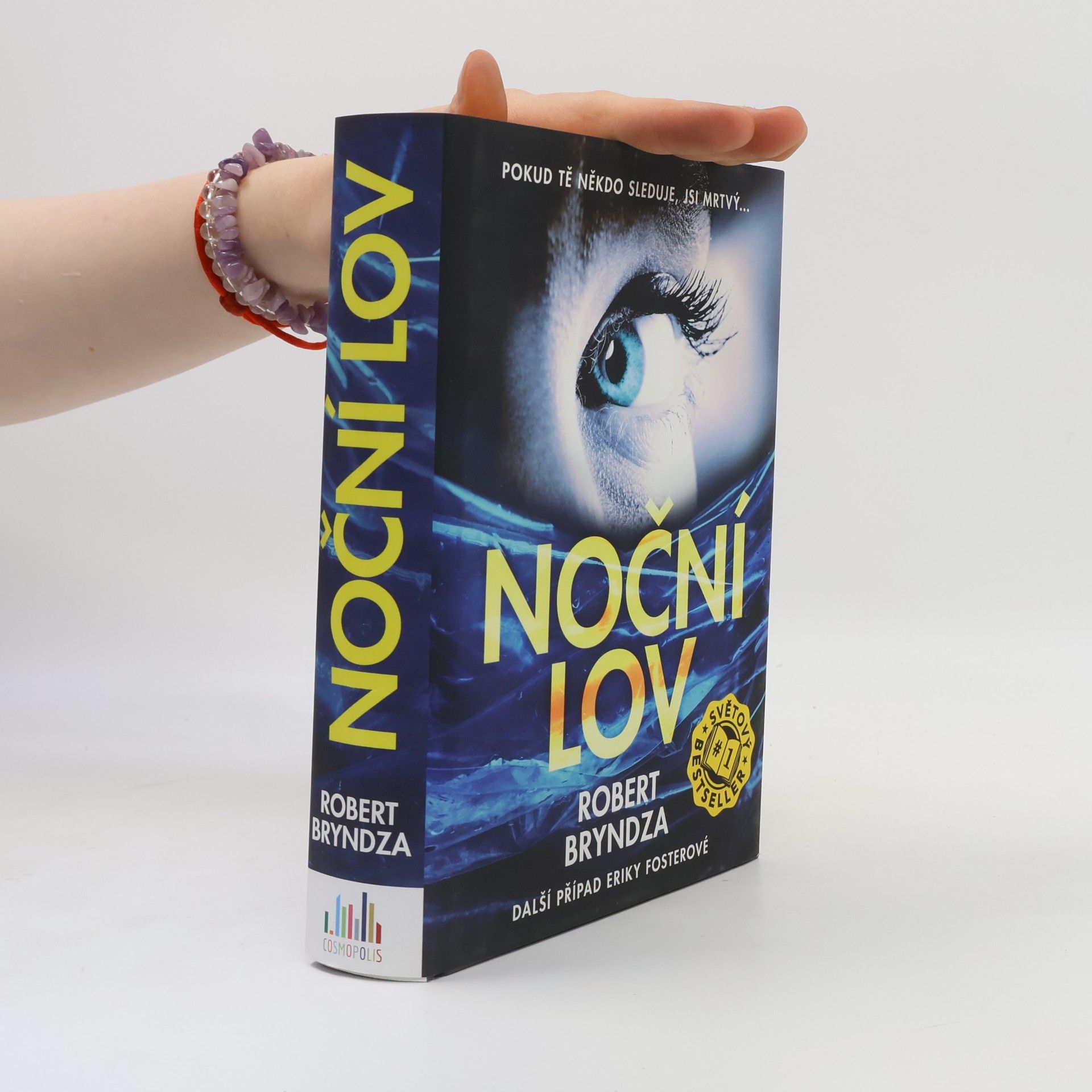 Robert Bryndza Noční lov
