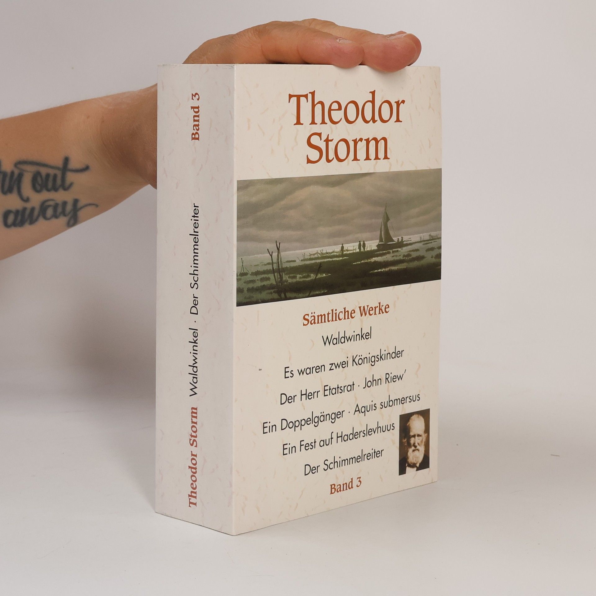 Theodor Storm Waldwinkel. Der Schimmelreiter
