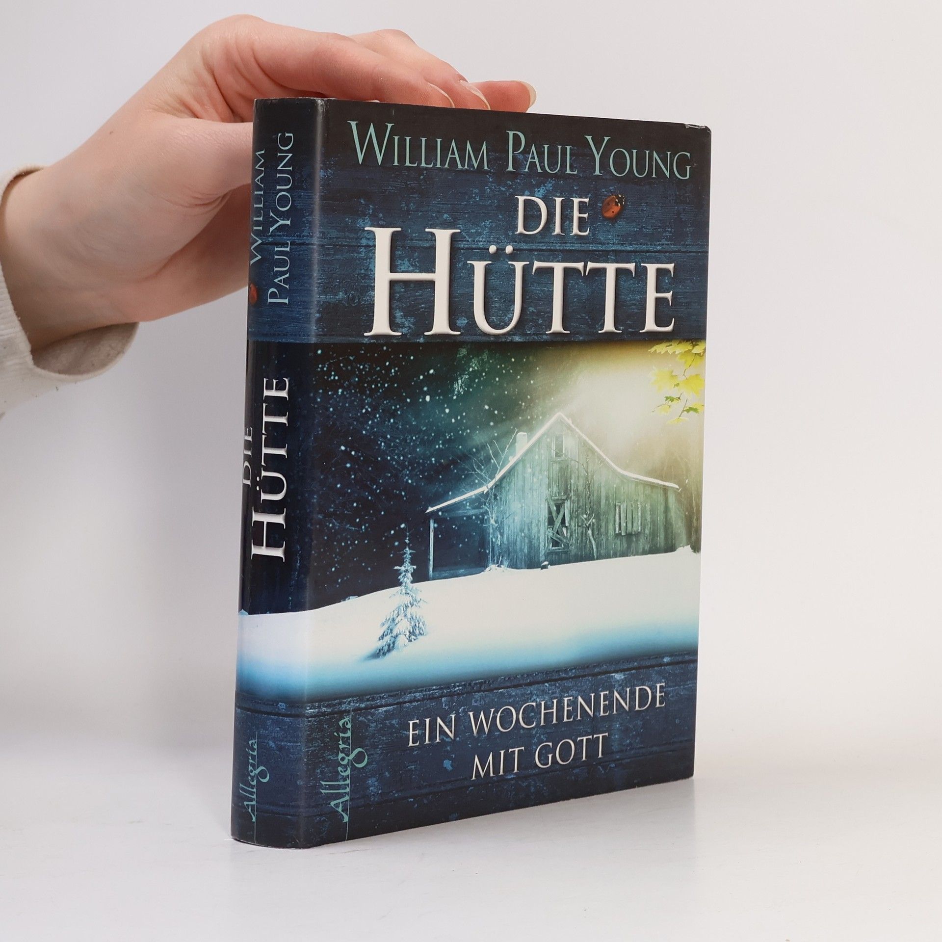 William Paul Young Die Hütte