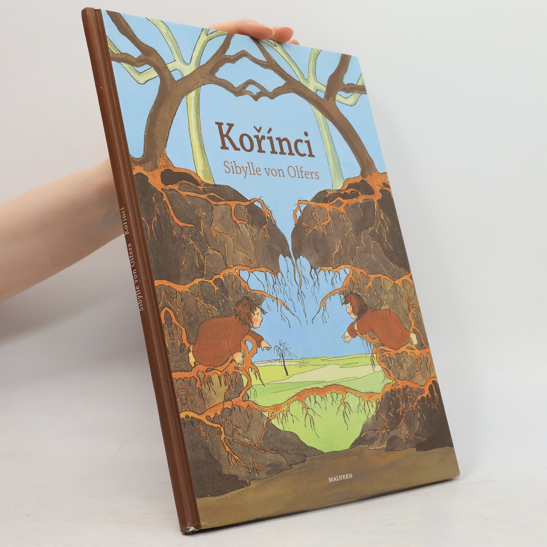 Sibylle von Olfers Kořínci