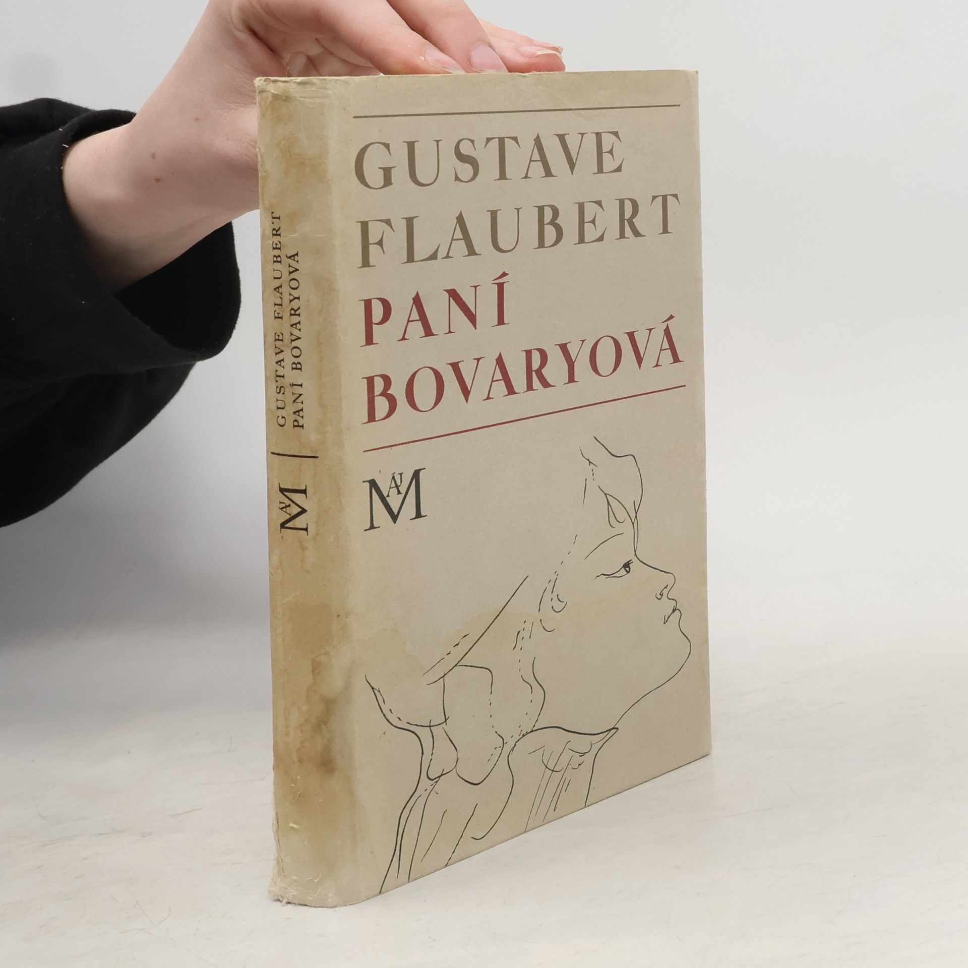 Gustave Flaubert Paní Bovaryová