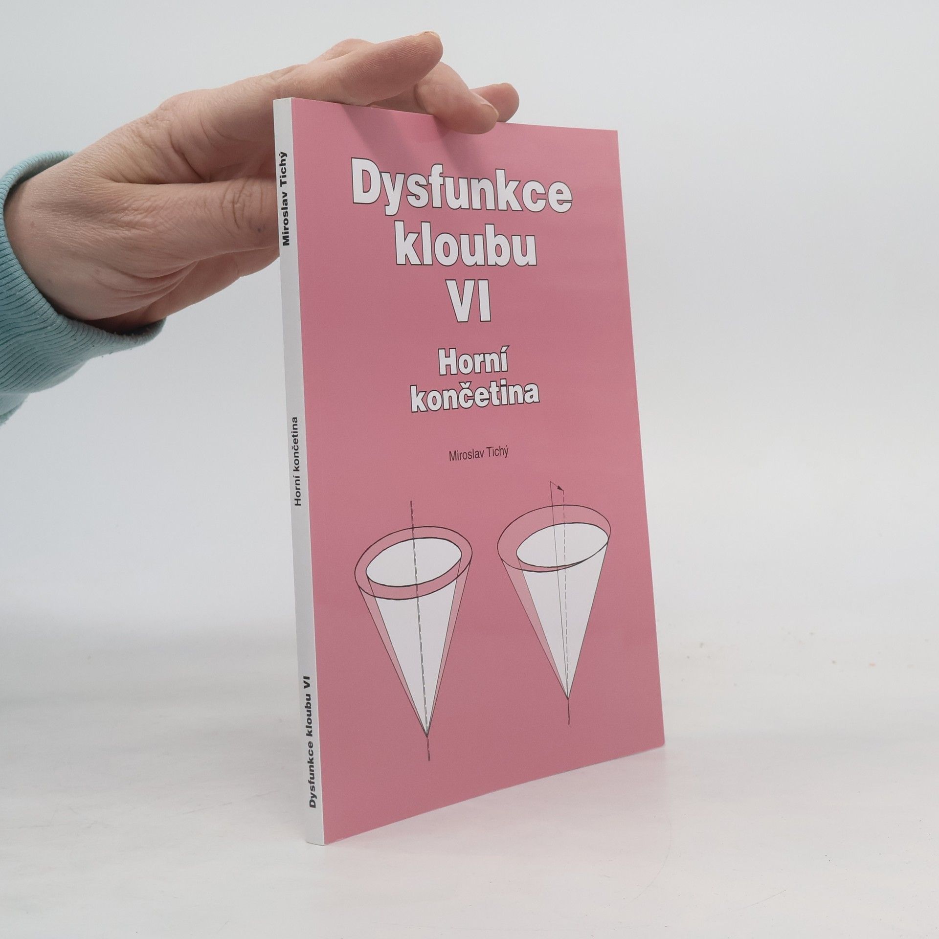 Miroslav Tichý Dysfunkce kloubu VI. Horní končetina
