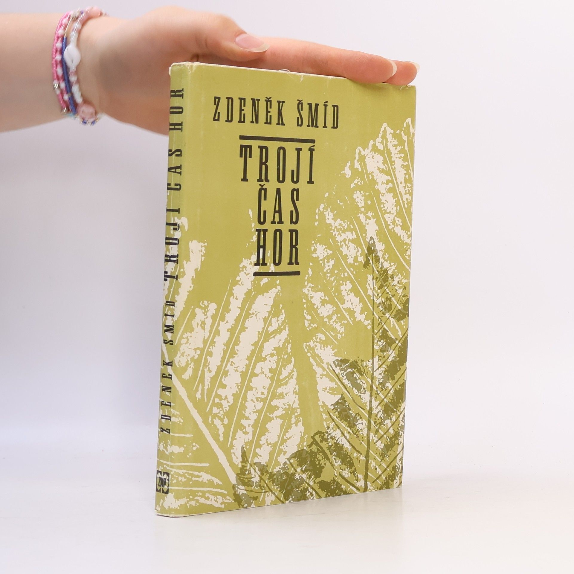 Zdeněk Šmíd Trojí čas hor