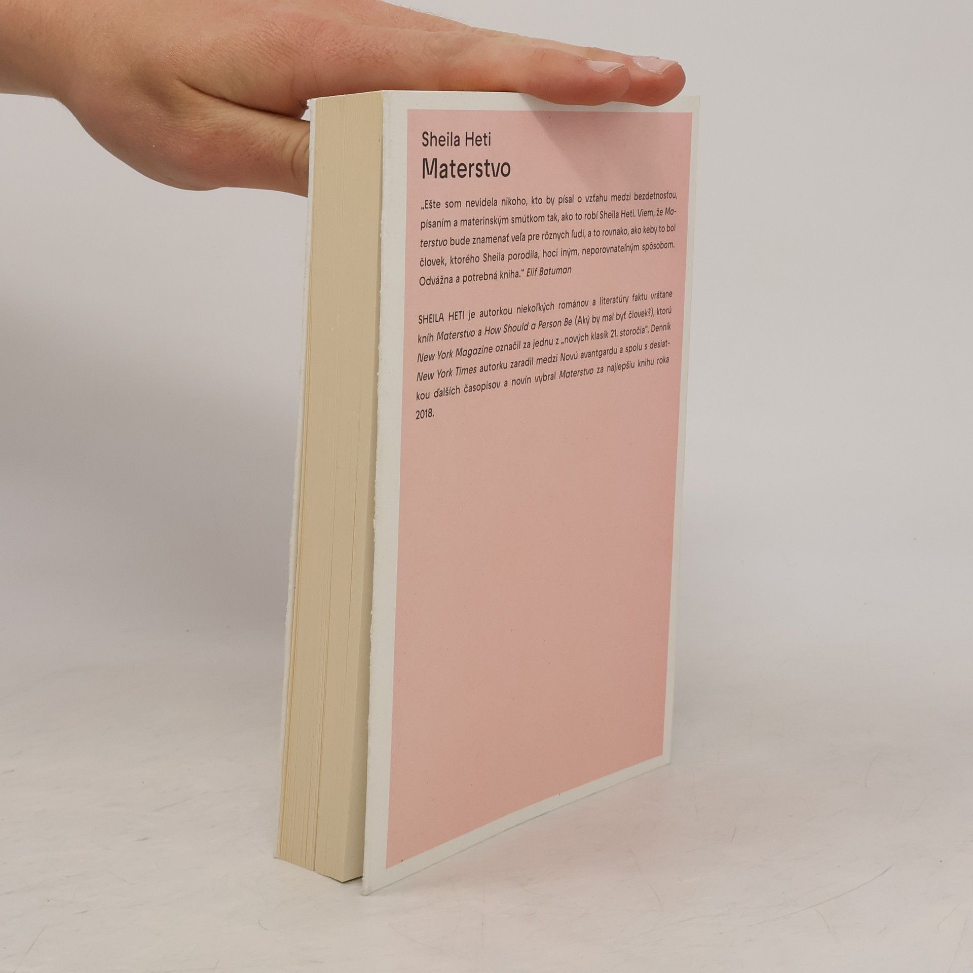 Sheila Heti Materstvo