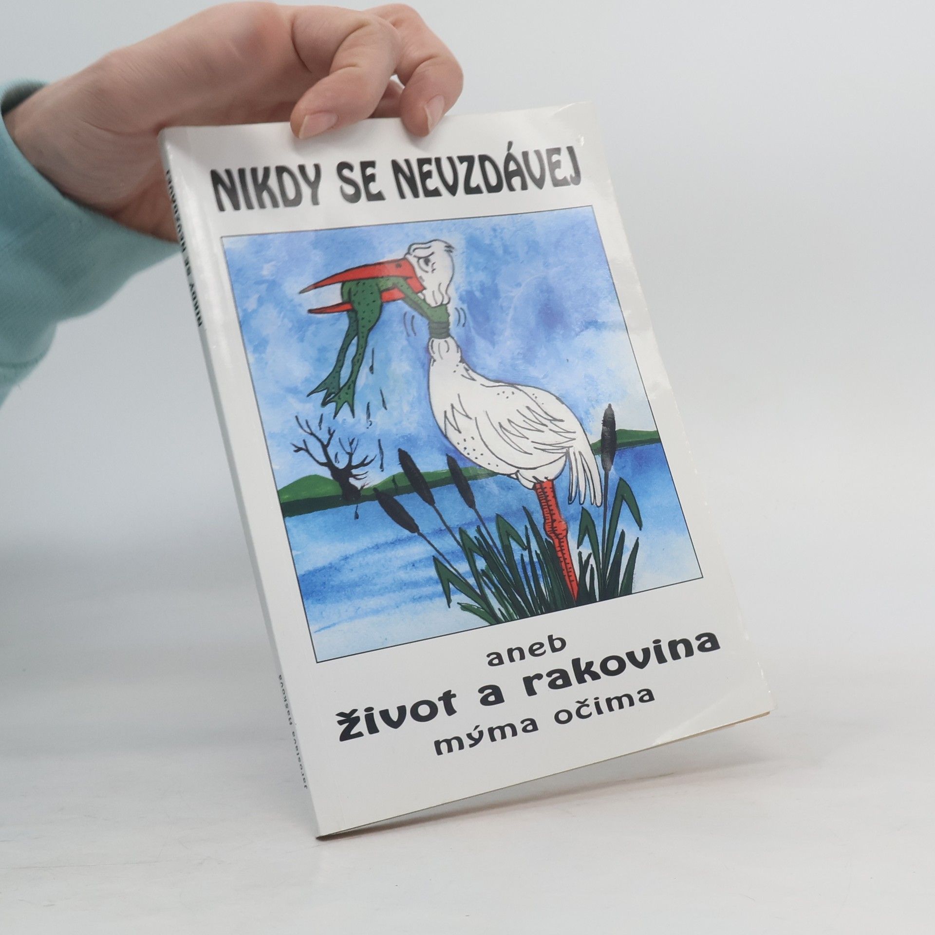 Jaroslava Hašková Nikdy se nevzdávej aneb Život a rakovina mýma očima