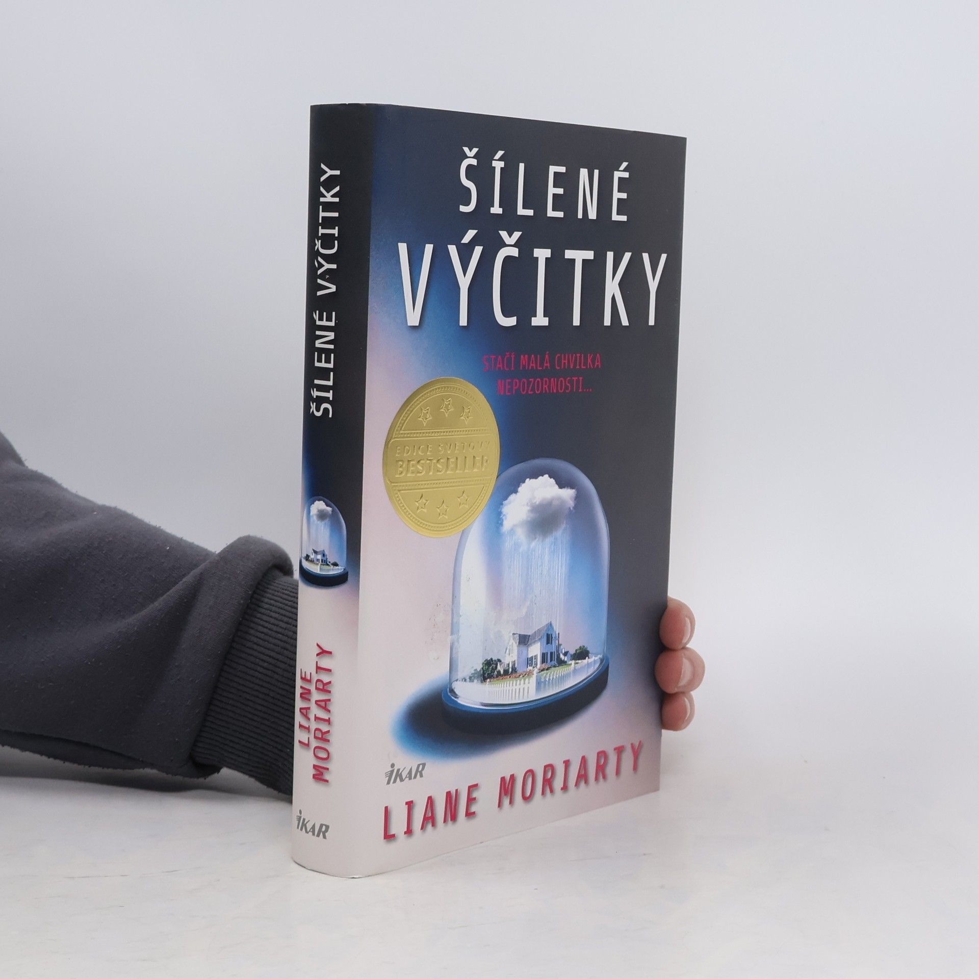 Liane Moriarty Šílené výčitky
