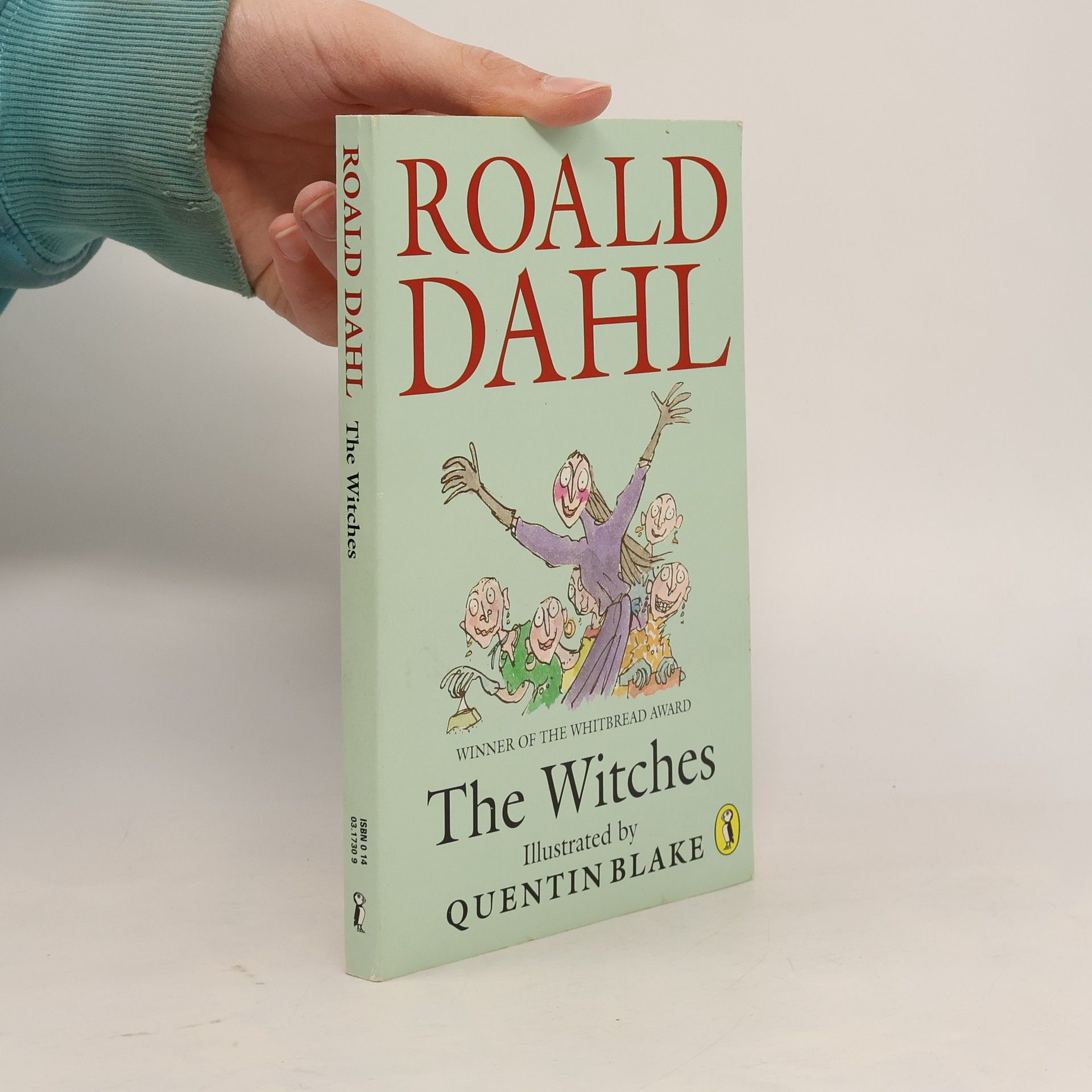 Roald Dahl The Witches