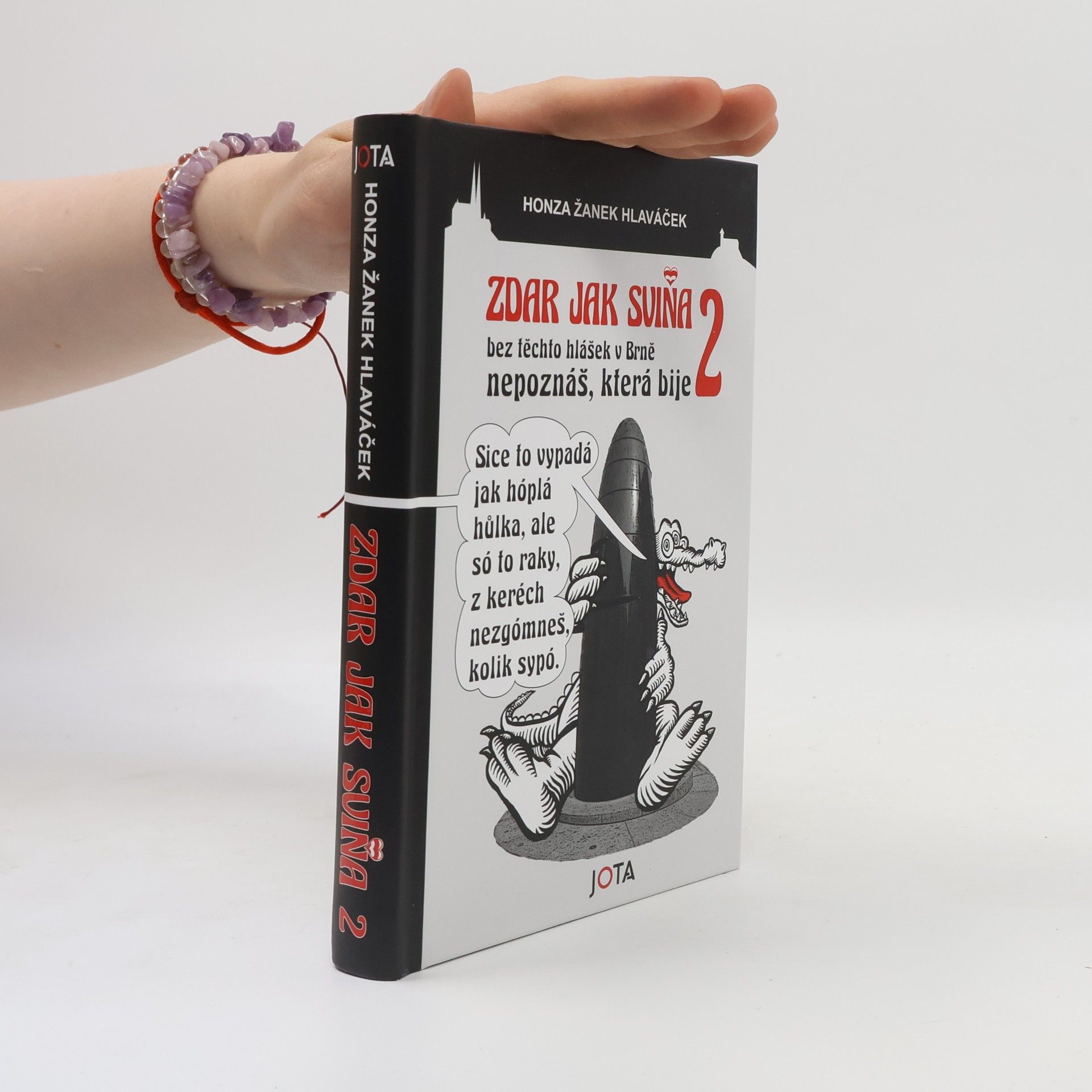 Honza Hlaváček Zdar jak sviňa 2