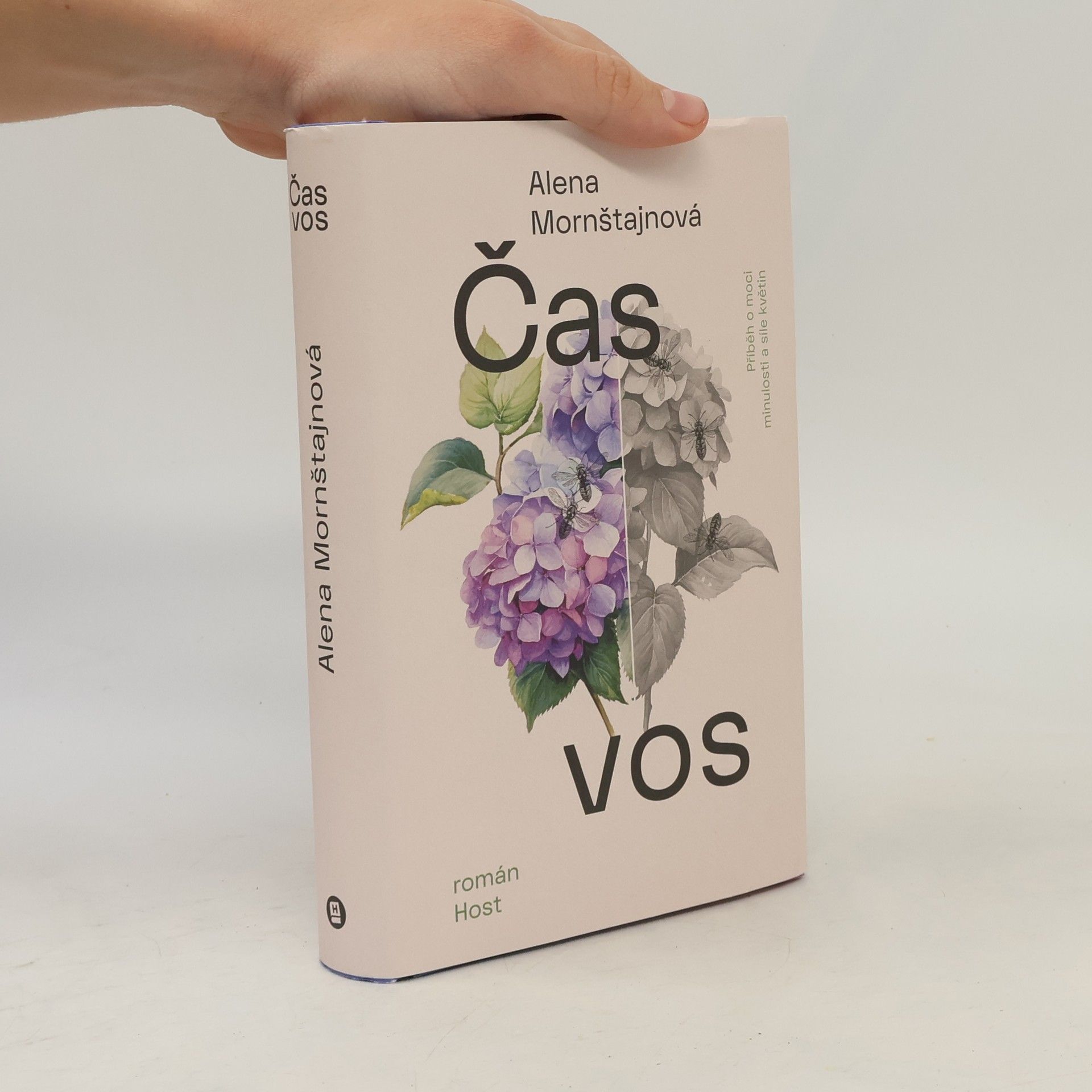 Alena Mornštajnová Čas vos
