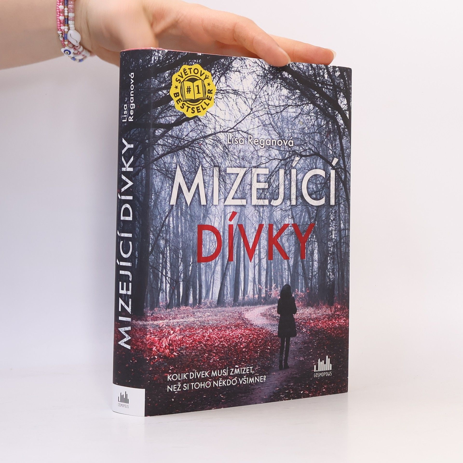 Lisa Regan Mizející dívky