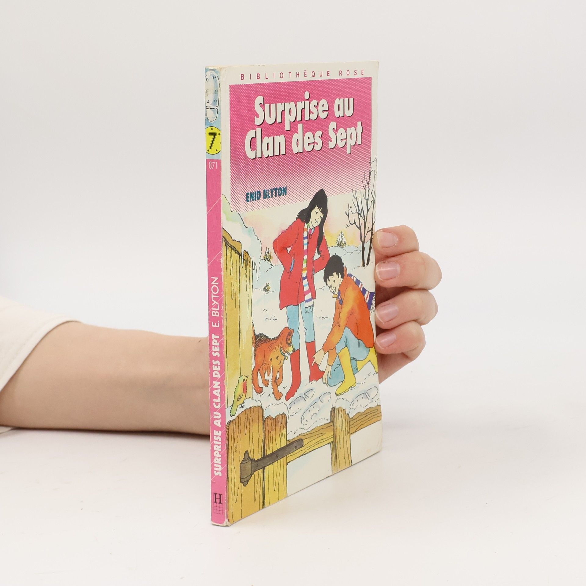 Enid Blyton Surprise au Clan des Sept
