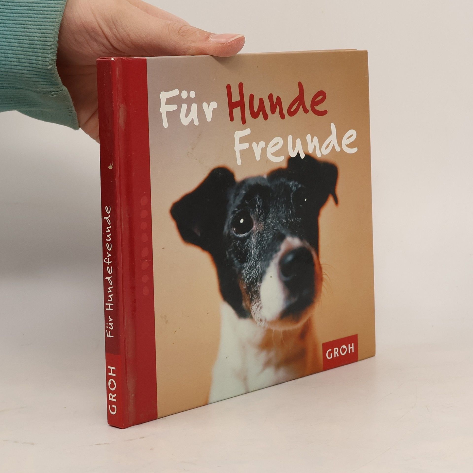 Nina Sandmann Für Hundefreunde