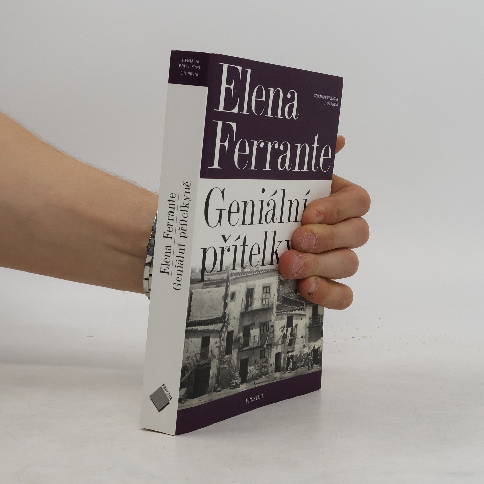 Elena Ferrante Geniální přítelkyně 1. Dětství a dospívání