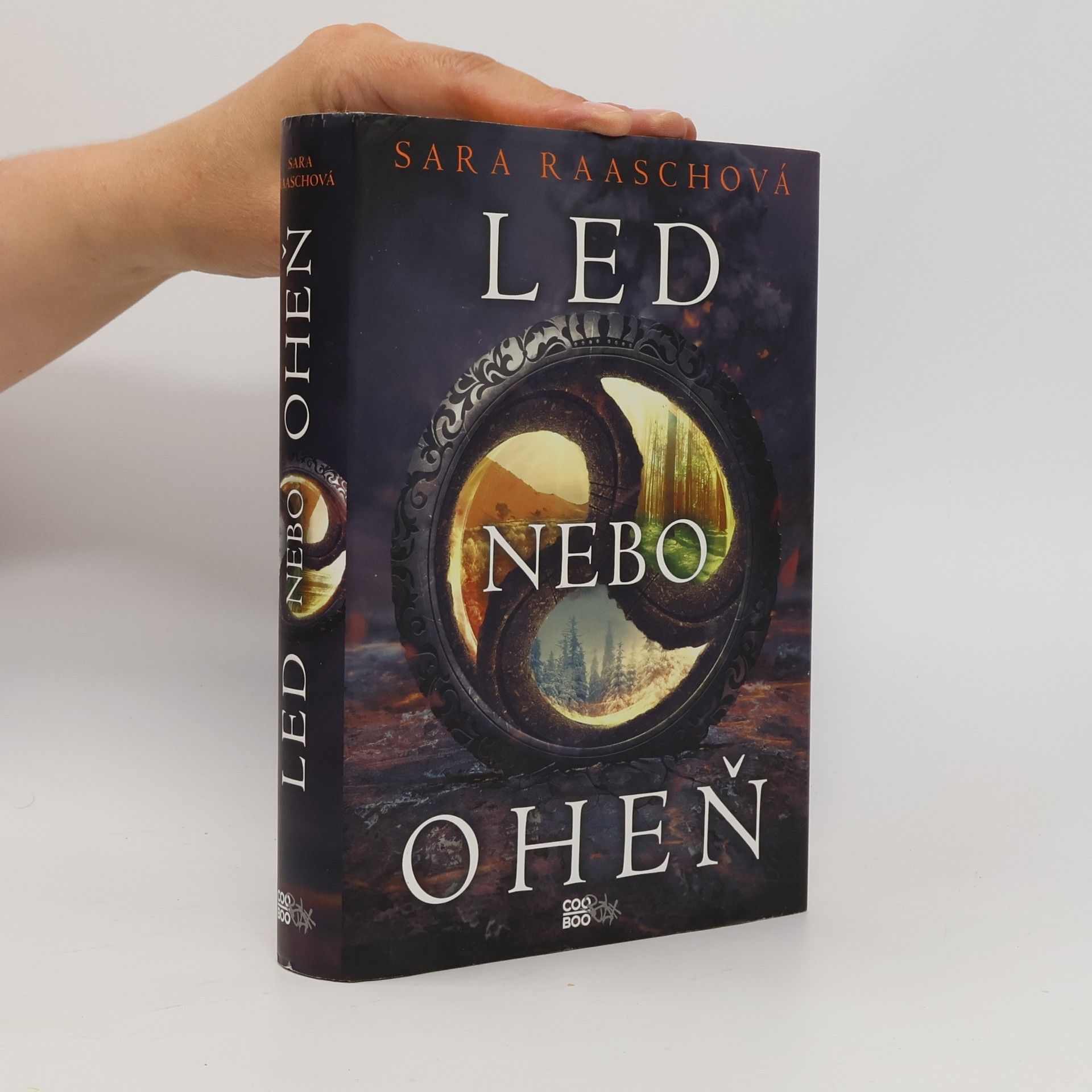 Sara Raasch Led nebo oheň