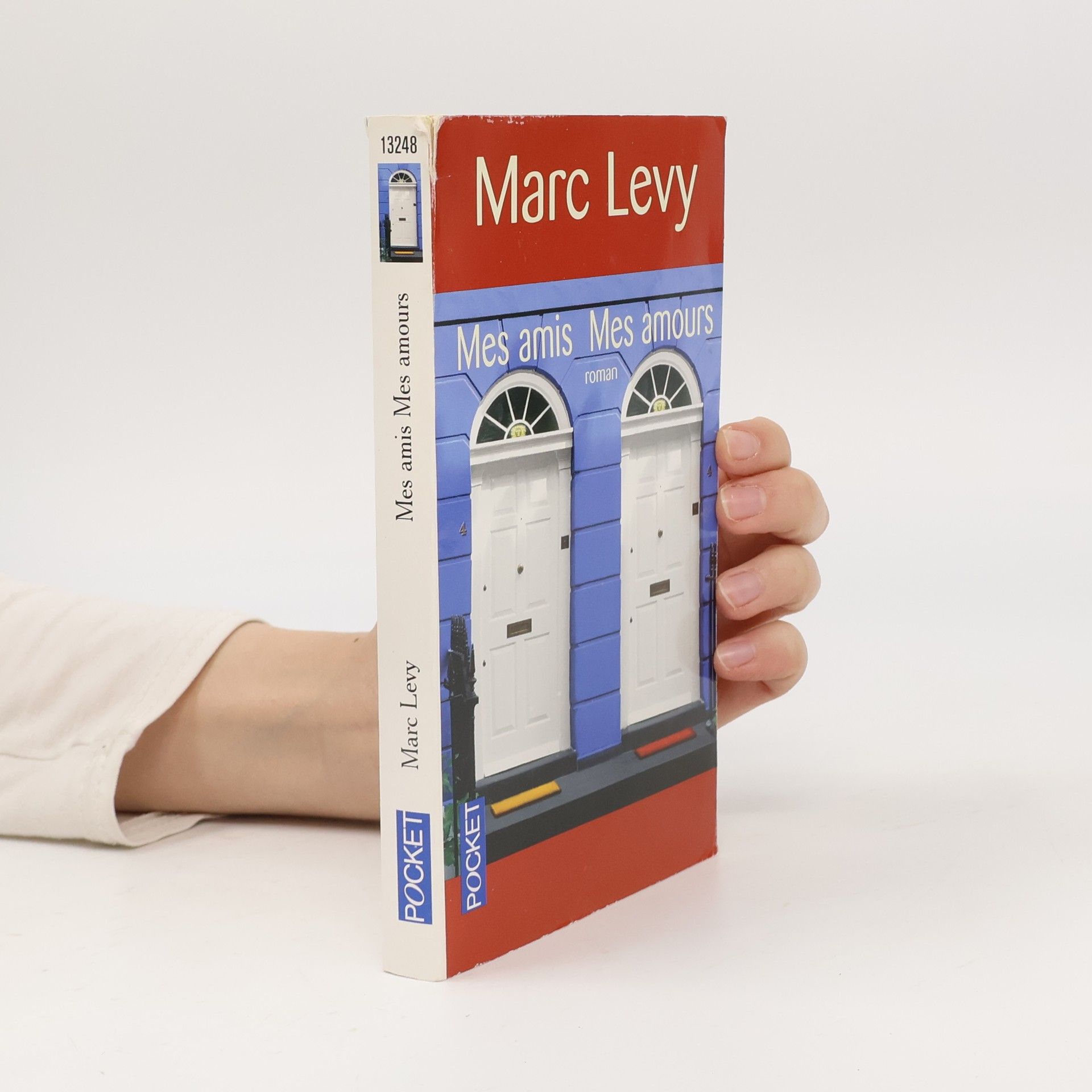 Marc Levy Mes amis, mes amours