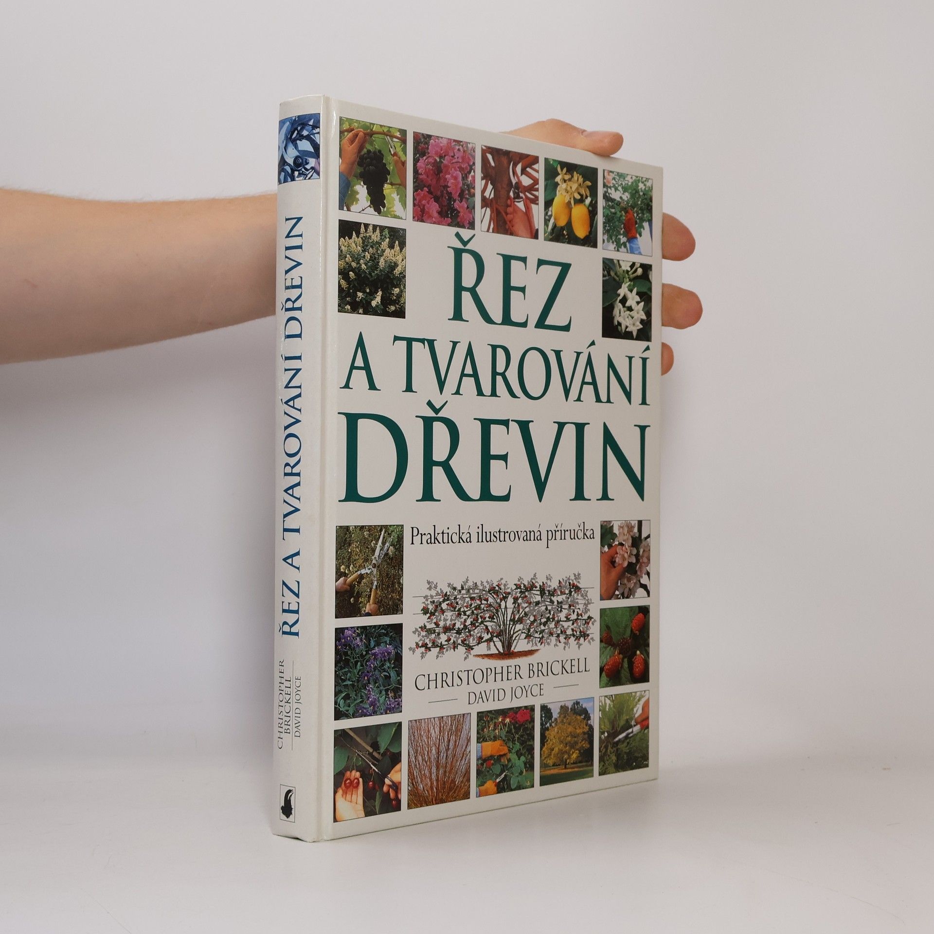 Řez a tvarování dřevin