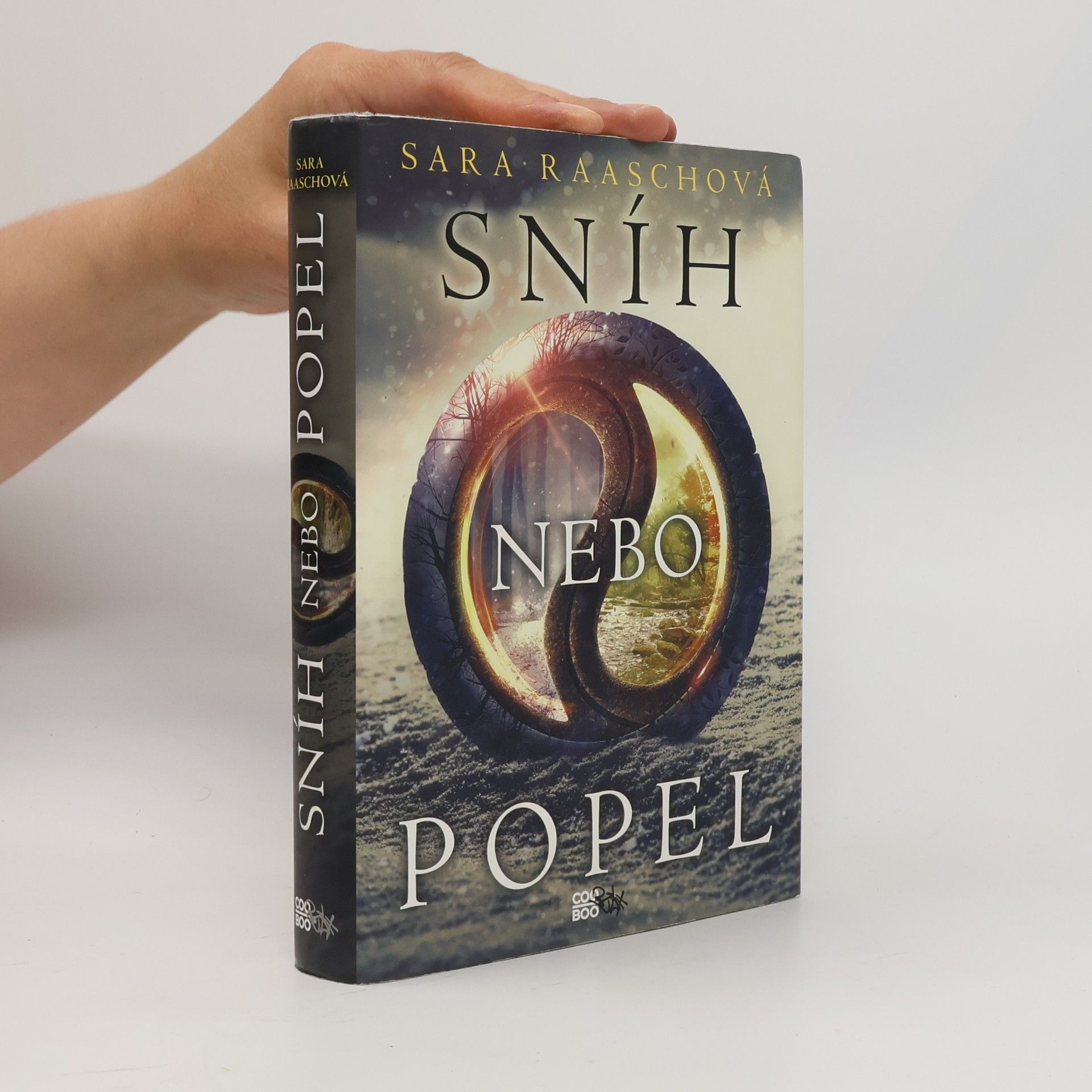 Sara Raasch Sníh nebo popel