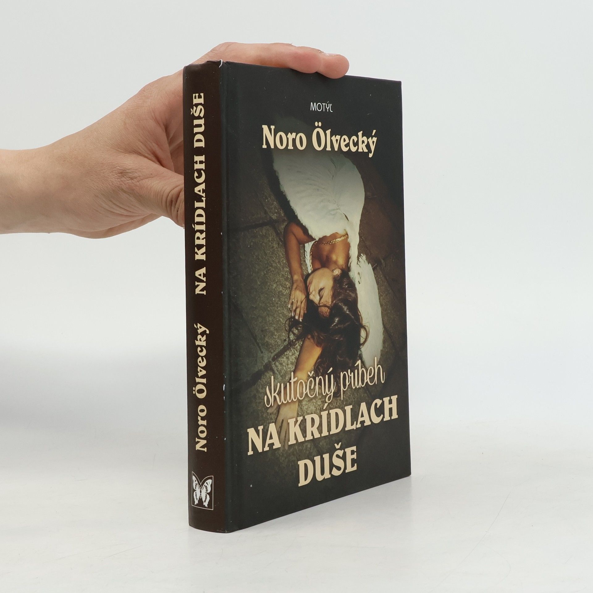 Noro Ölvecký Na krídlach duše