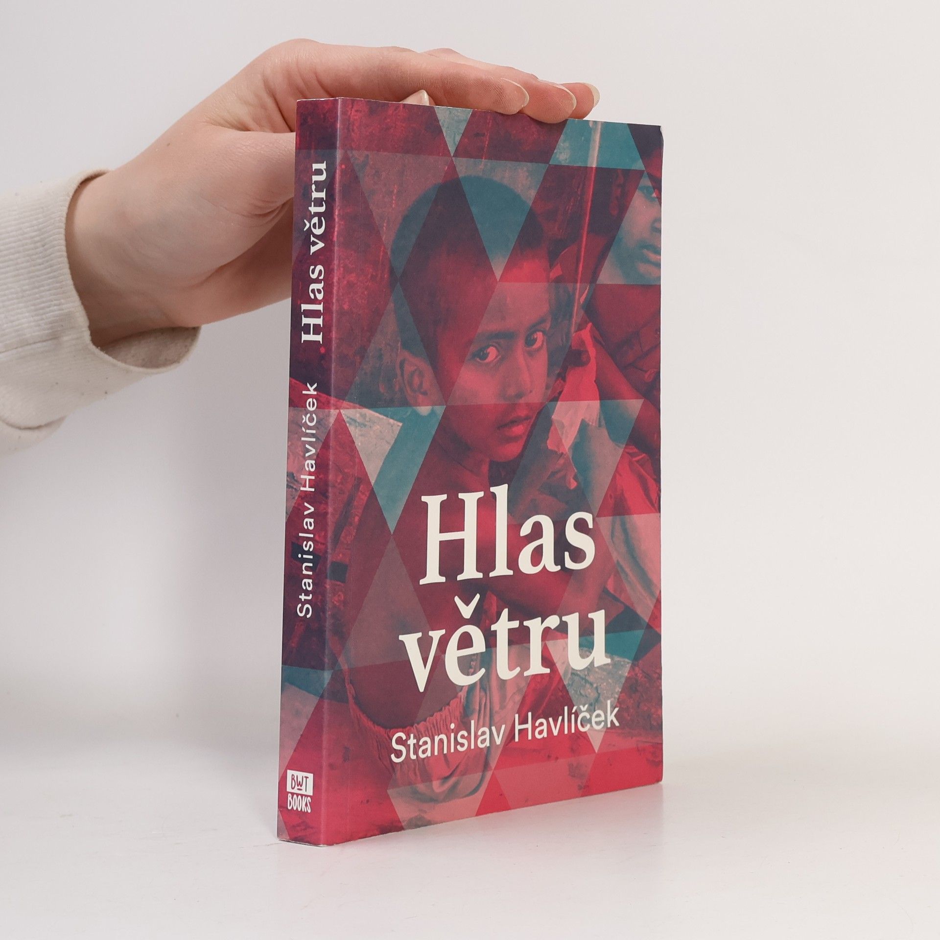 Stanislav Havlíček Hlas větru