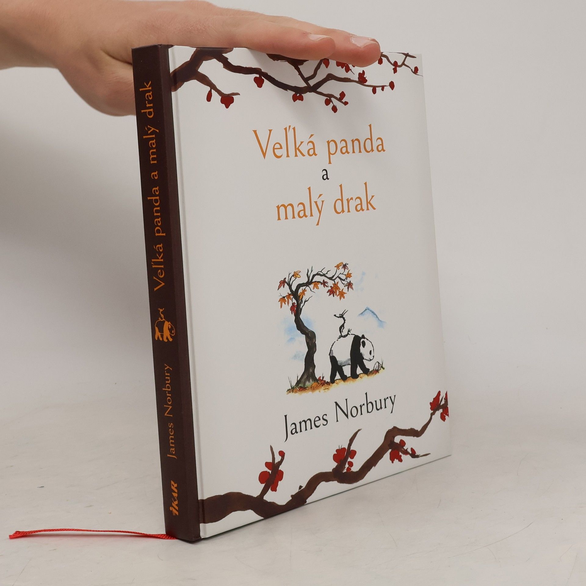 James Norbury Veľká panda a malý drak