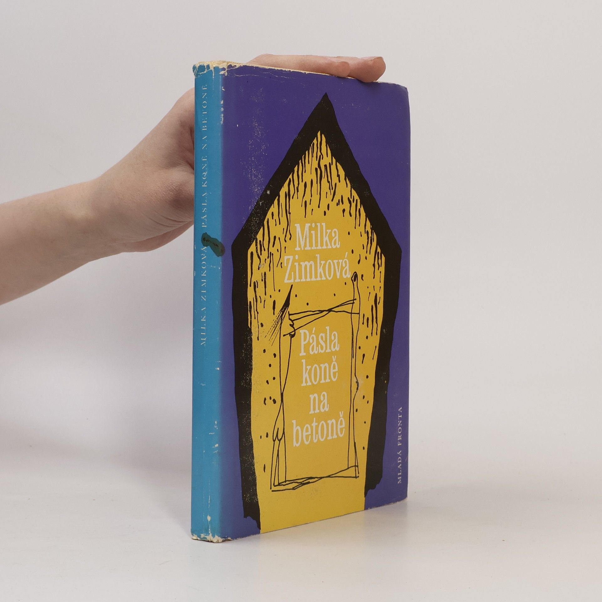 Milka Zimková Pásla koně na betoně