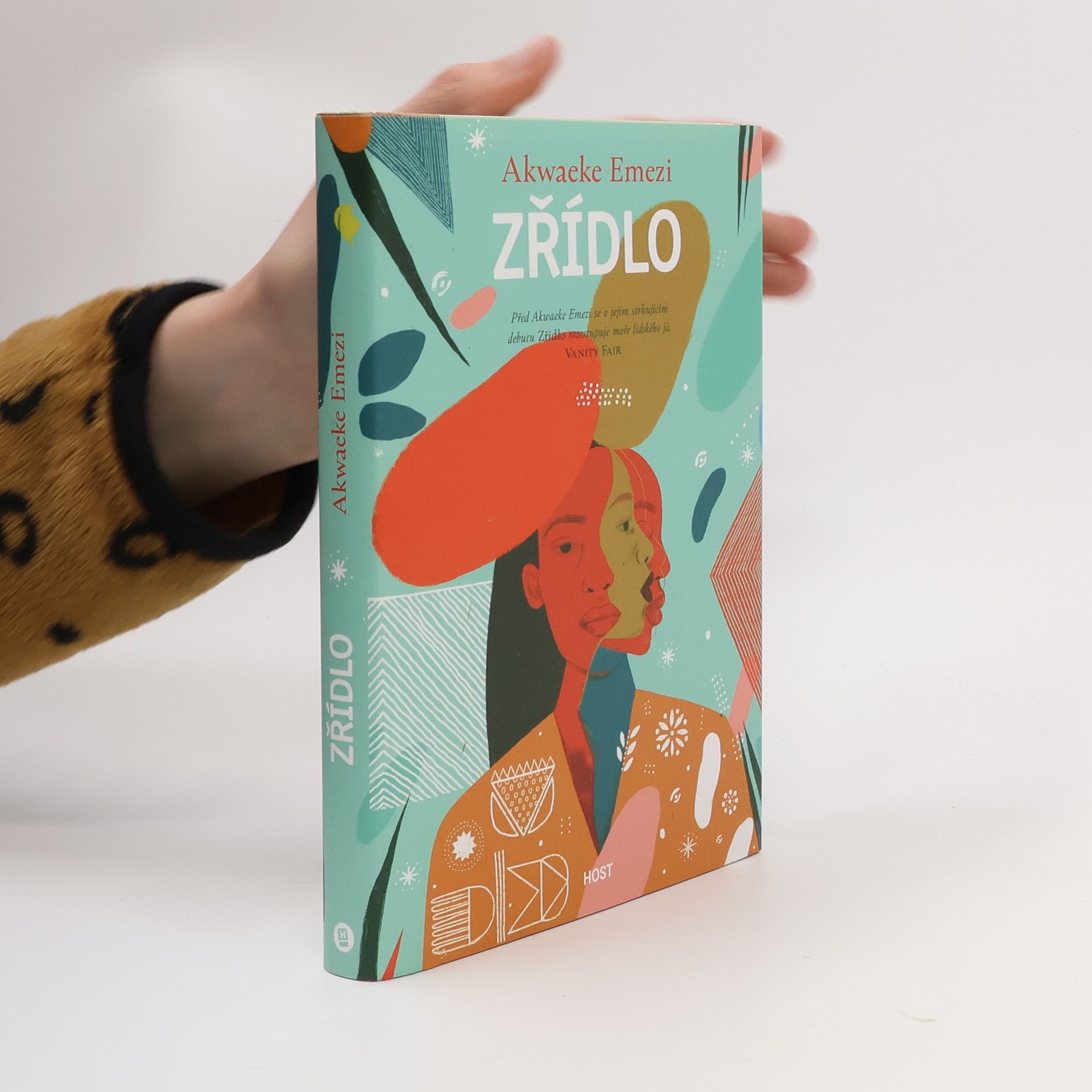 Akwaeke Emezi Zřídlo