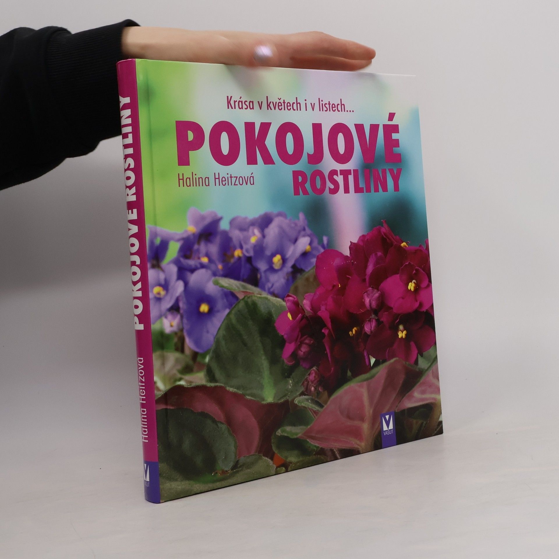 Kolektiv autorů Pokojové rostliny