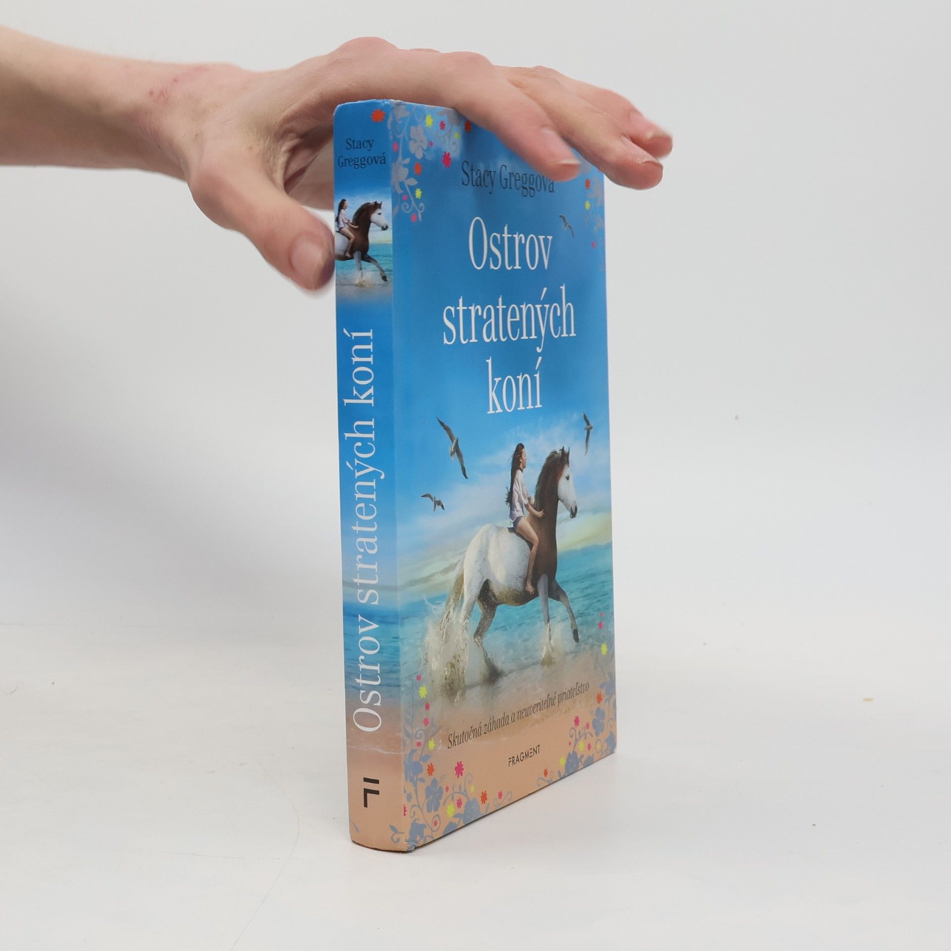Stacy Gregg Ostrov stratených koní