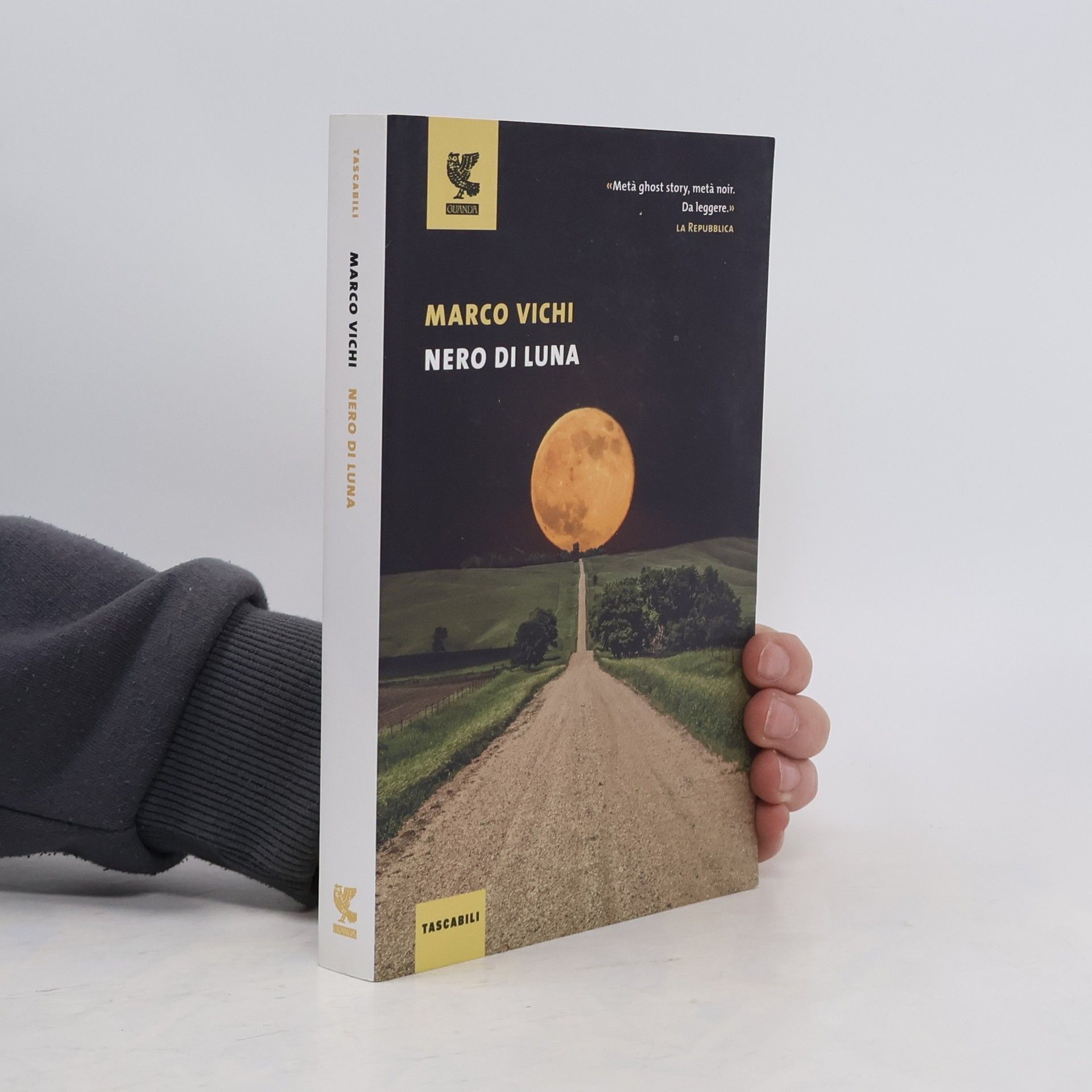 Marco Vichi Nero di luna