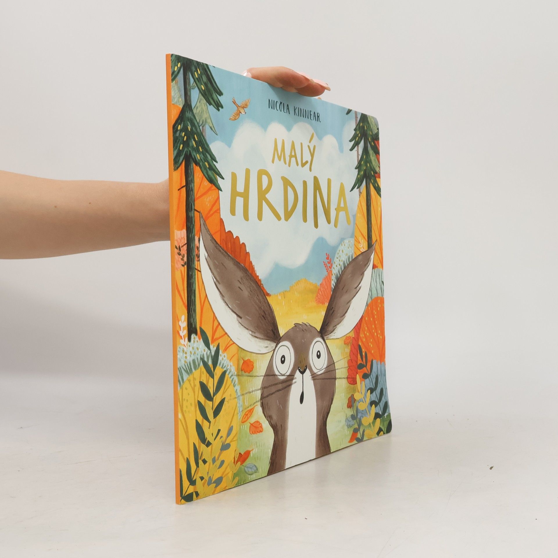 Nicola Kinnear Malý hrdina