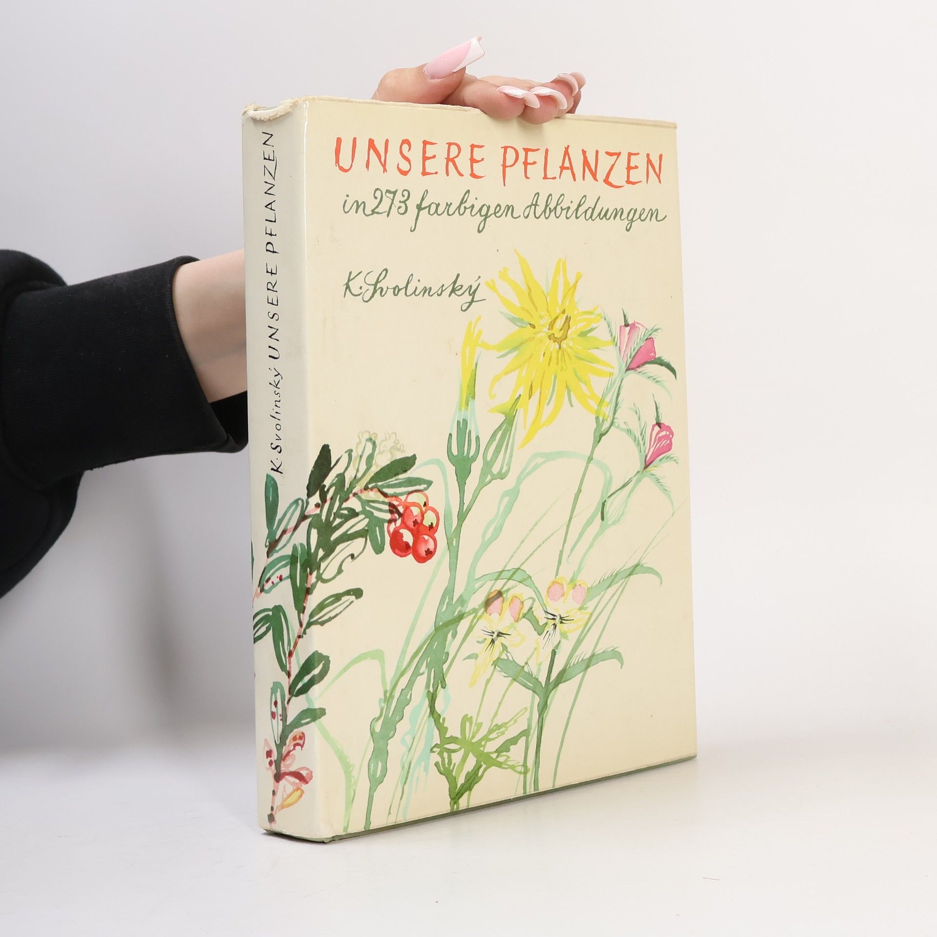 Karel Svolinský Unsere Pflanzen