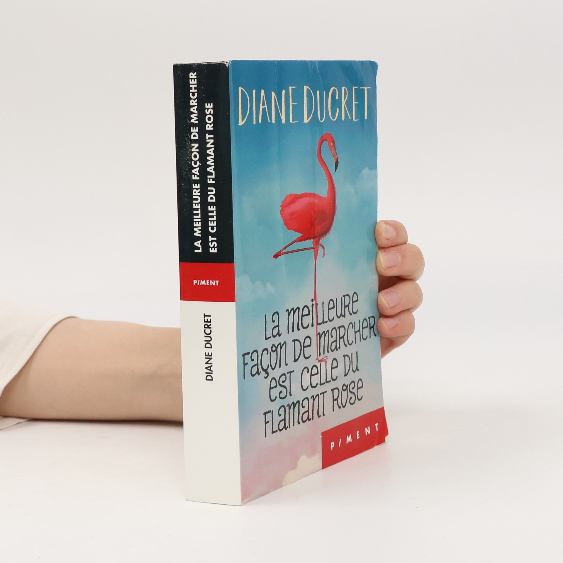 Diane Ducret La meilleure façon de marcher est celle du flamant rose