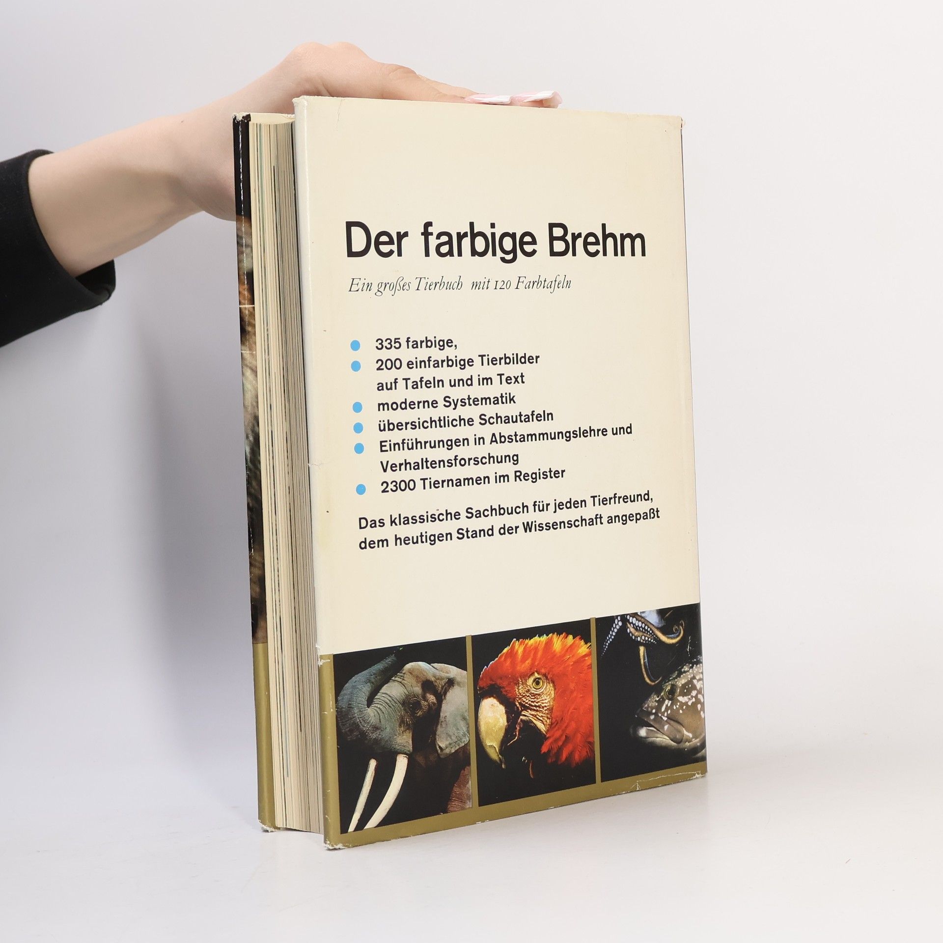 AA.VV. Der farbige Brehm