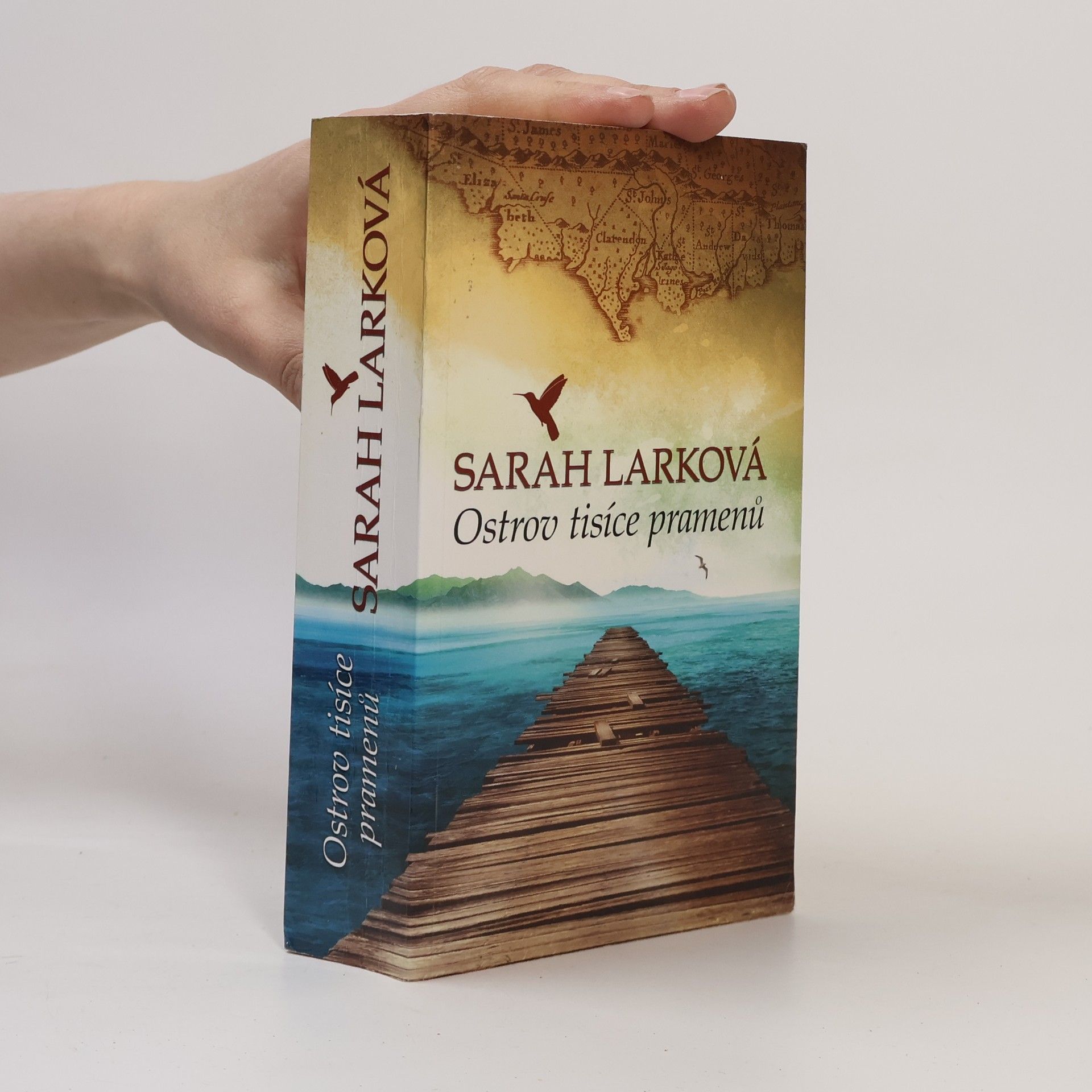 Christiane Gohl Ostrov tisíce pramenů