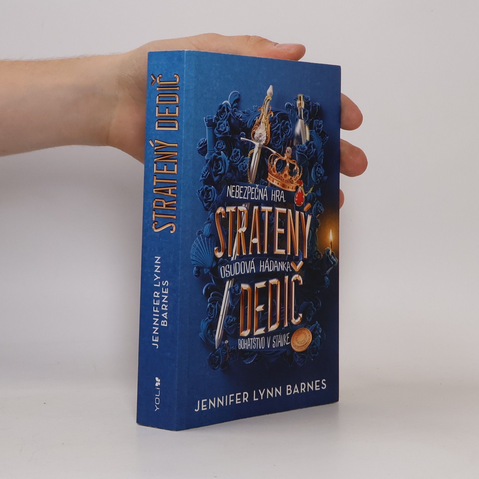 Jennifer Lynn Barnes Stratený dedič