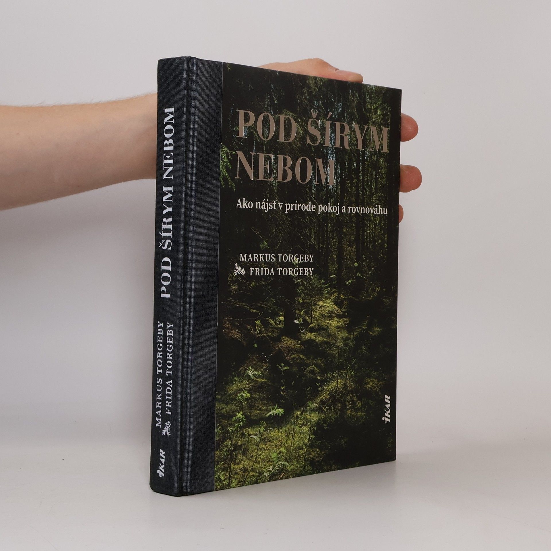 Markus Torgeby Pod šírym nebom