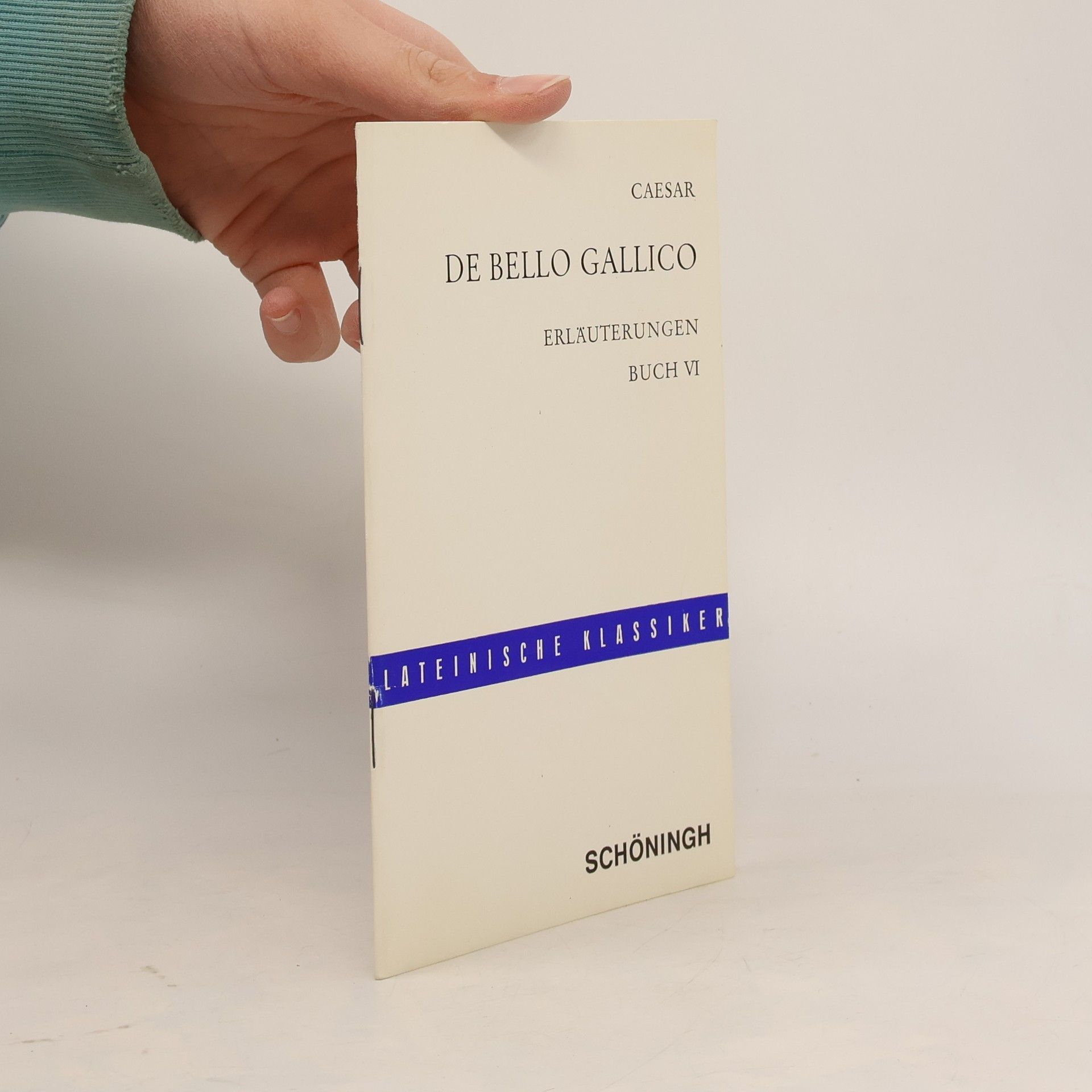 Hermann Bräuer De bello Gallico. Erläuterungen, Buch VI