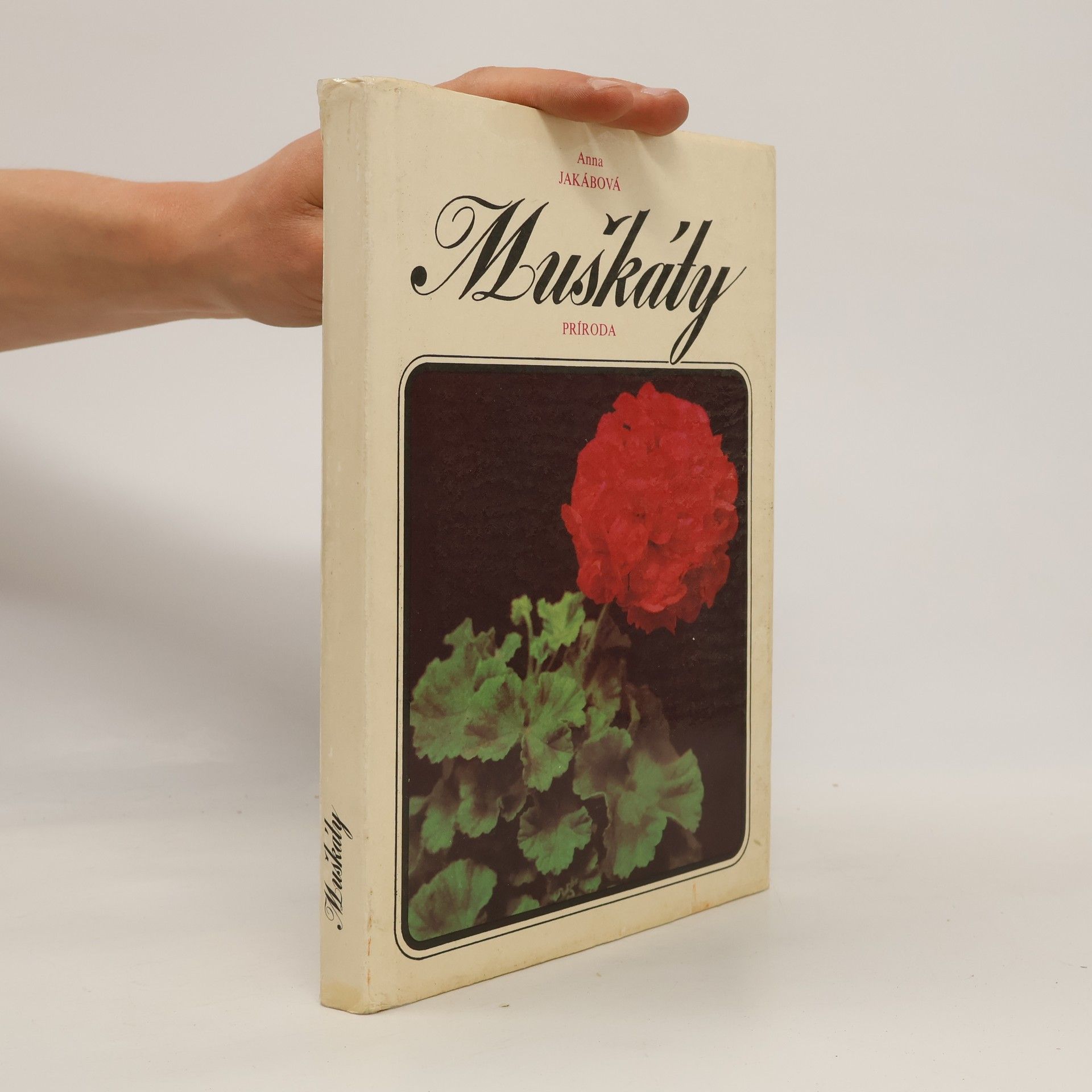 Anna Jakábová Muškáty