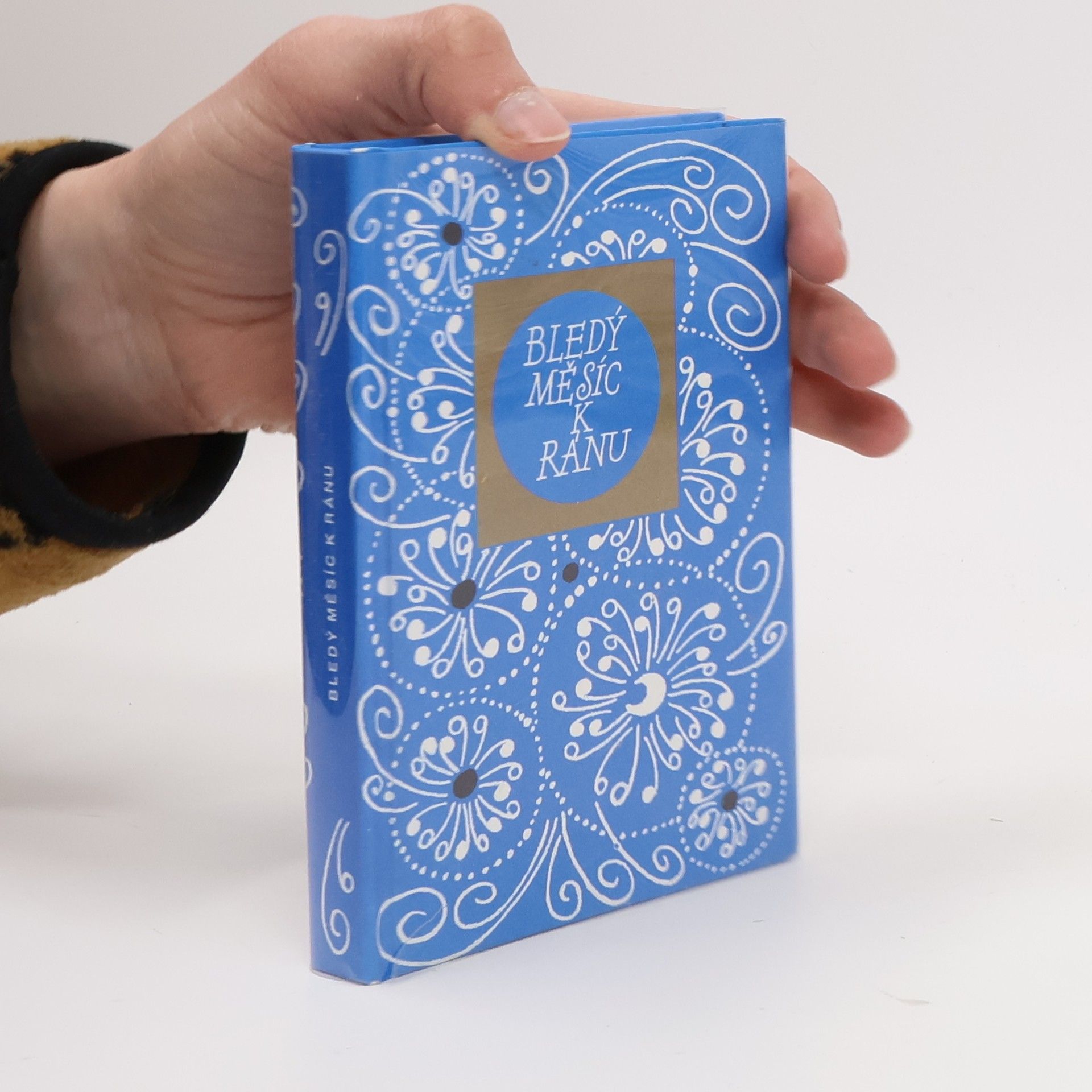 Zdenka Švarcová Bledý měsíc k ránu