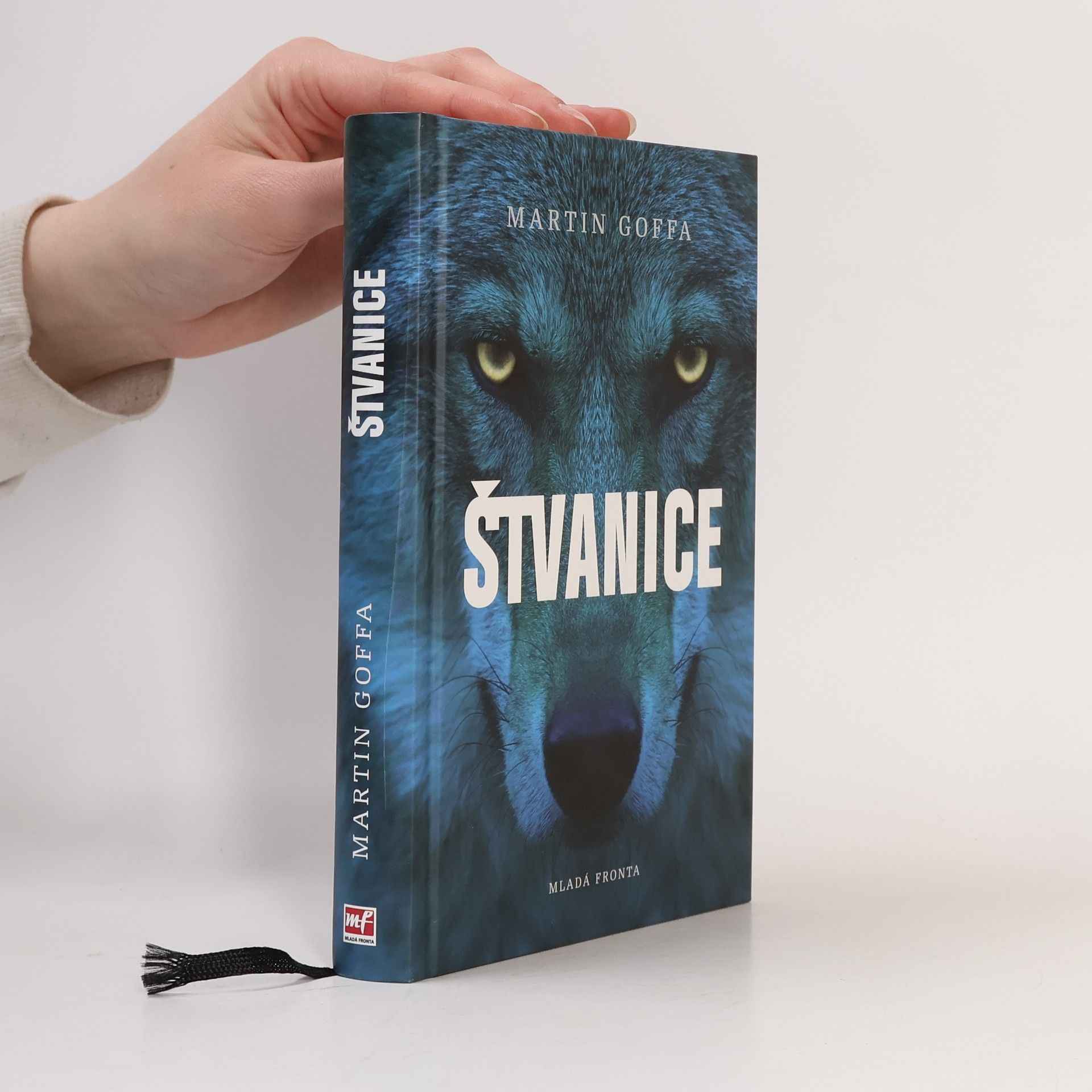 Martin Goffa Štvanice