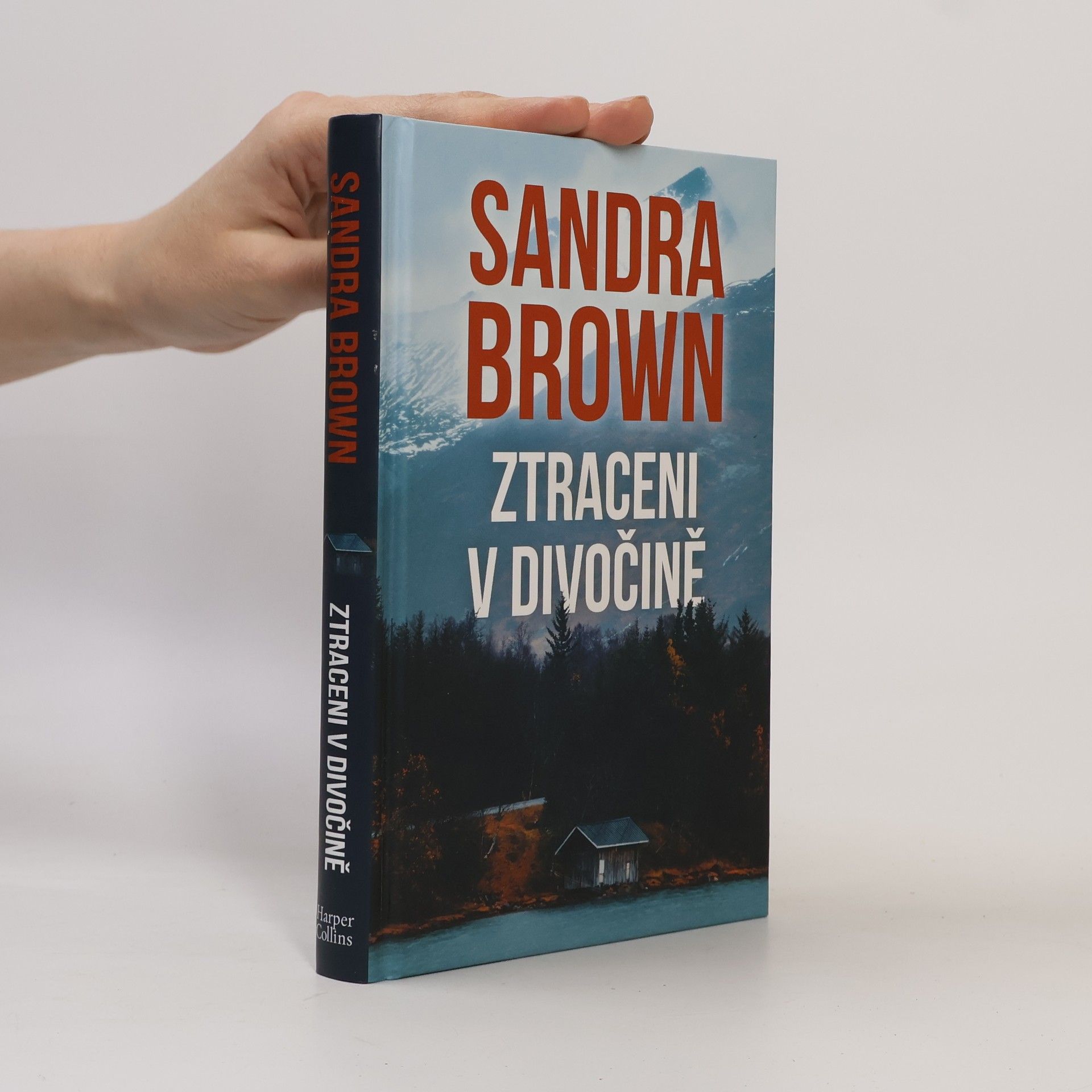 Sandra Brown Ztraceni v divočině