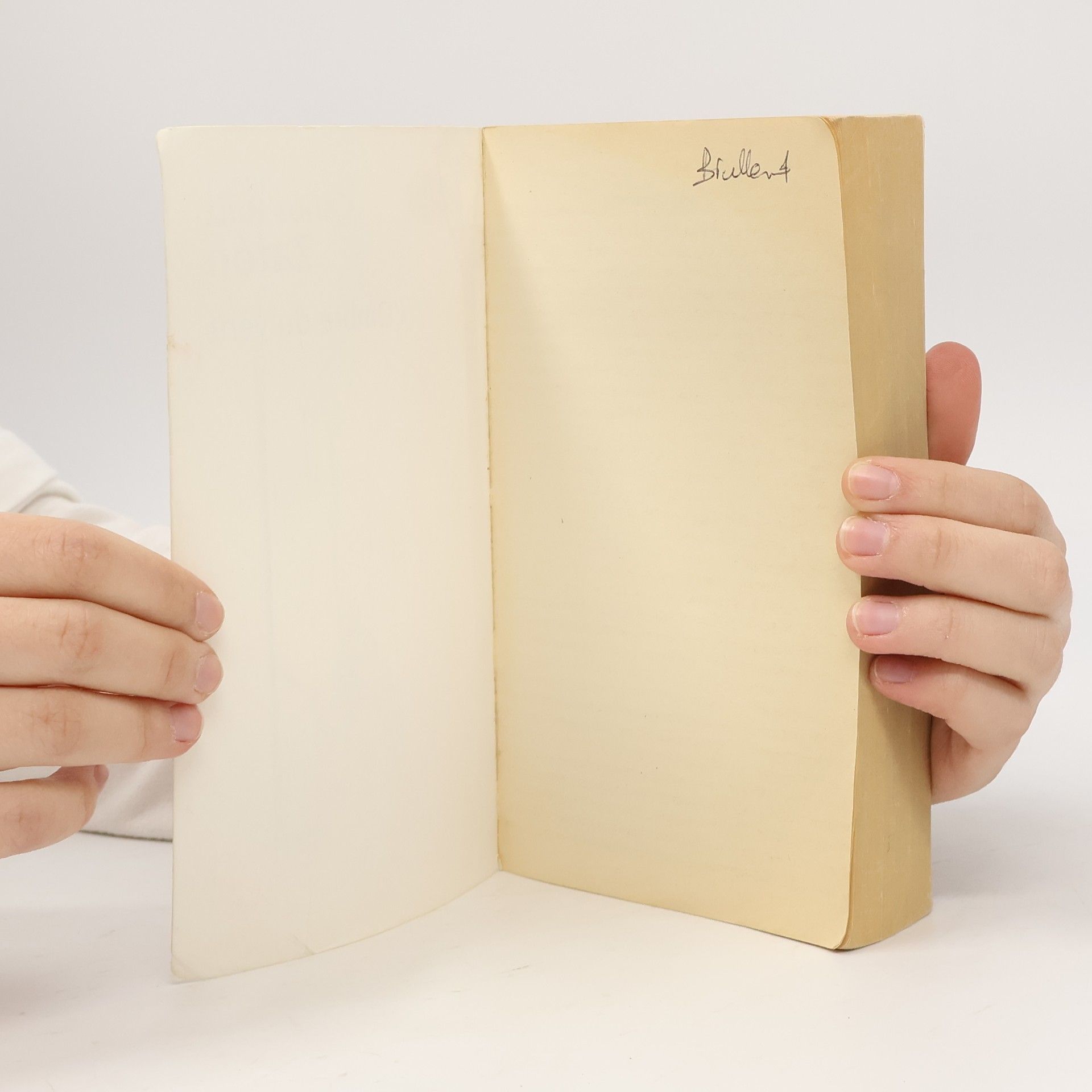 Carlos Ruiz Zafón L'ombre du vent