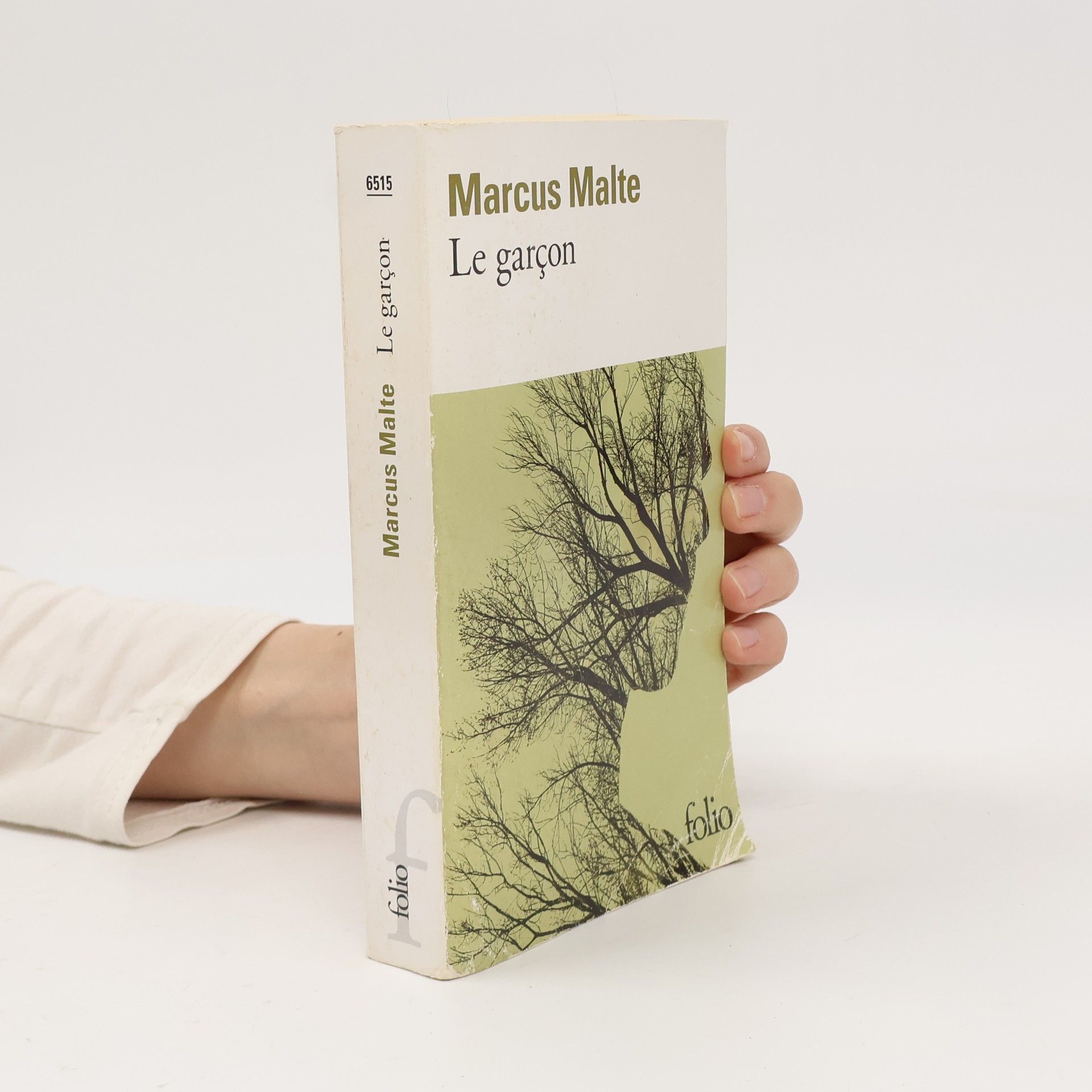 Marcus Malte Le garçon