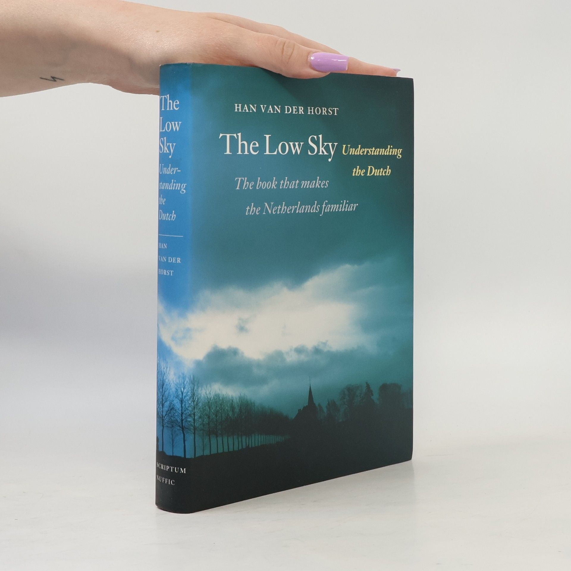 Han van der Horst The Low Sky