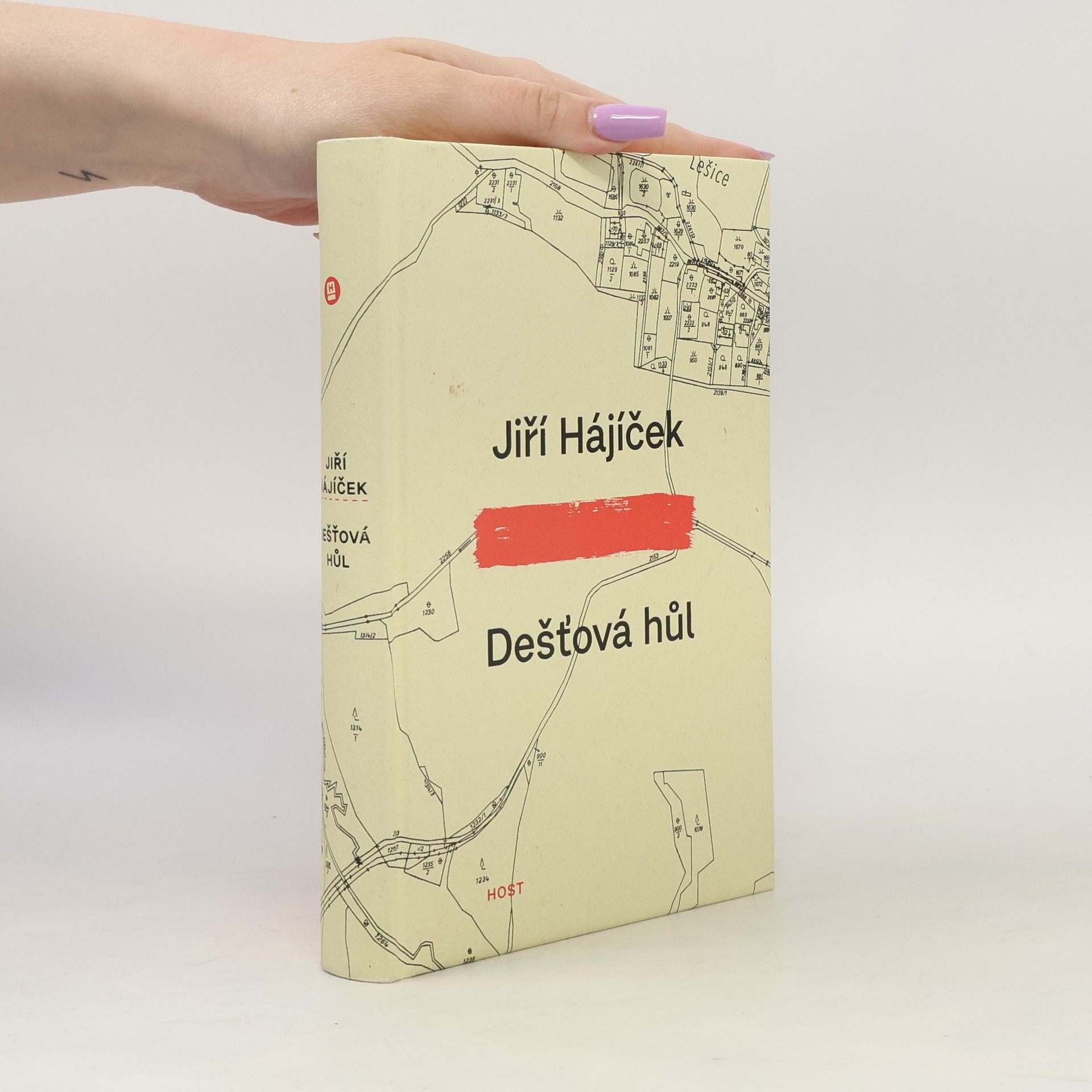 Jiří Hájíček Dešťová hůl