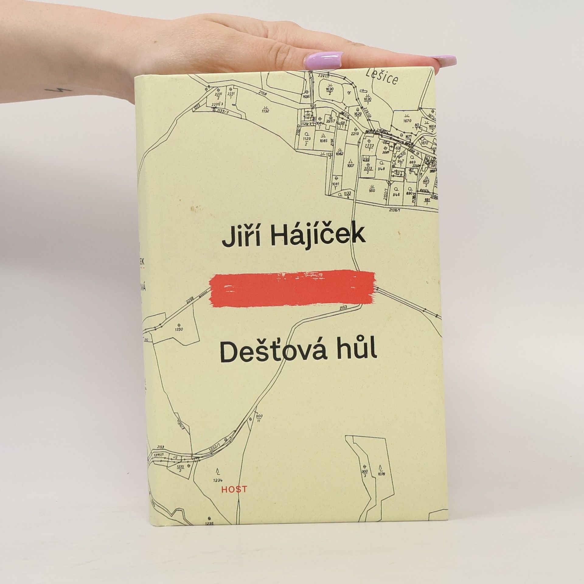 Jiří Hájíček Dešťová hůl